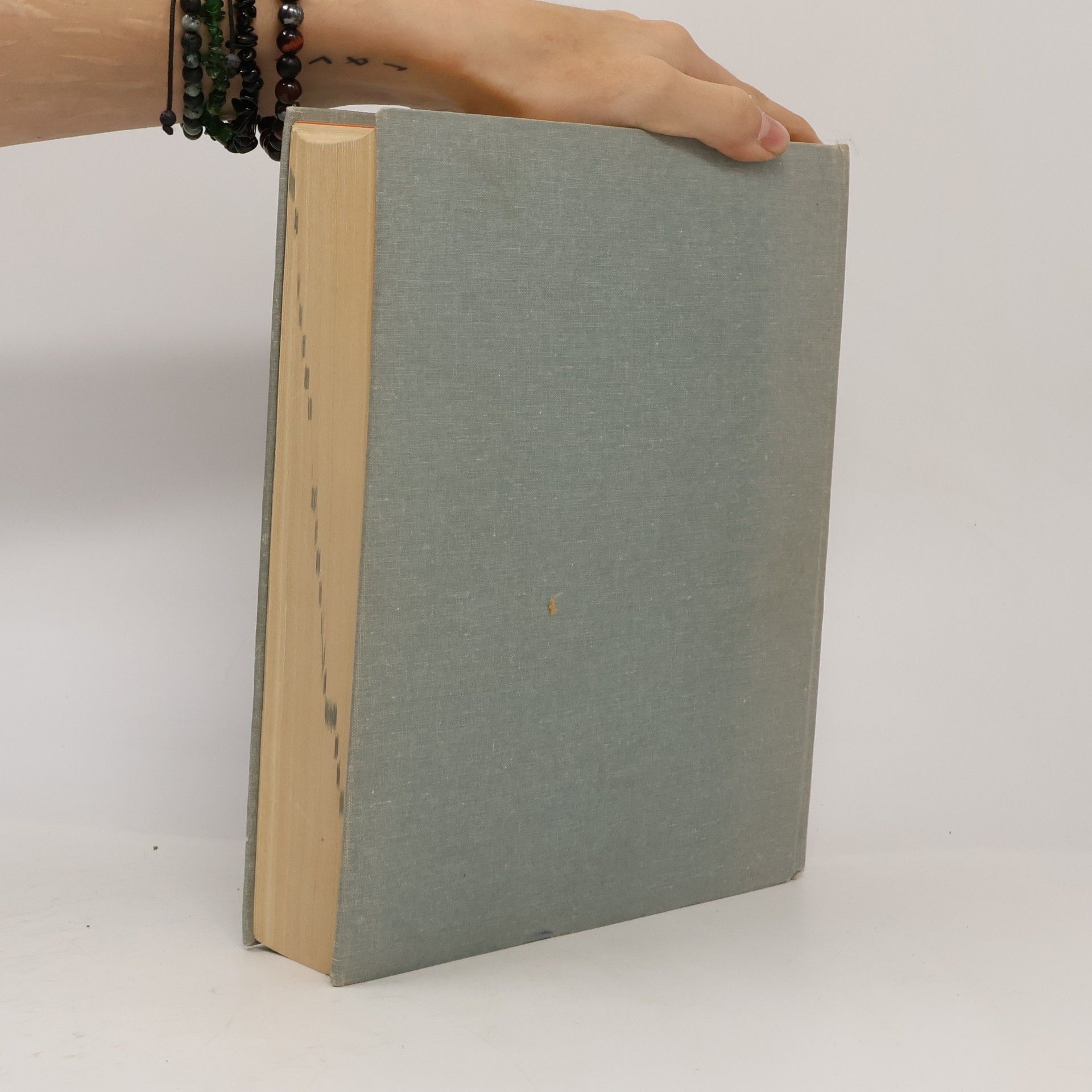Mária Čierna Nemecko-slovenský slovník, Deutsch-slowakisches Wörterbuch