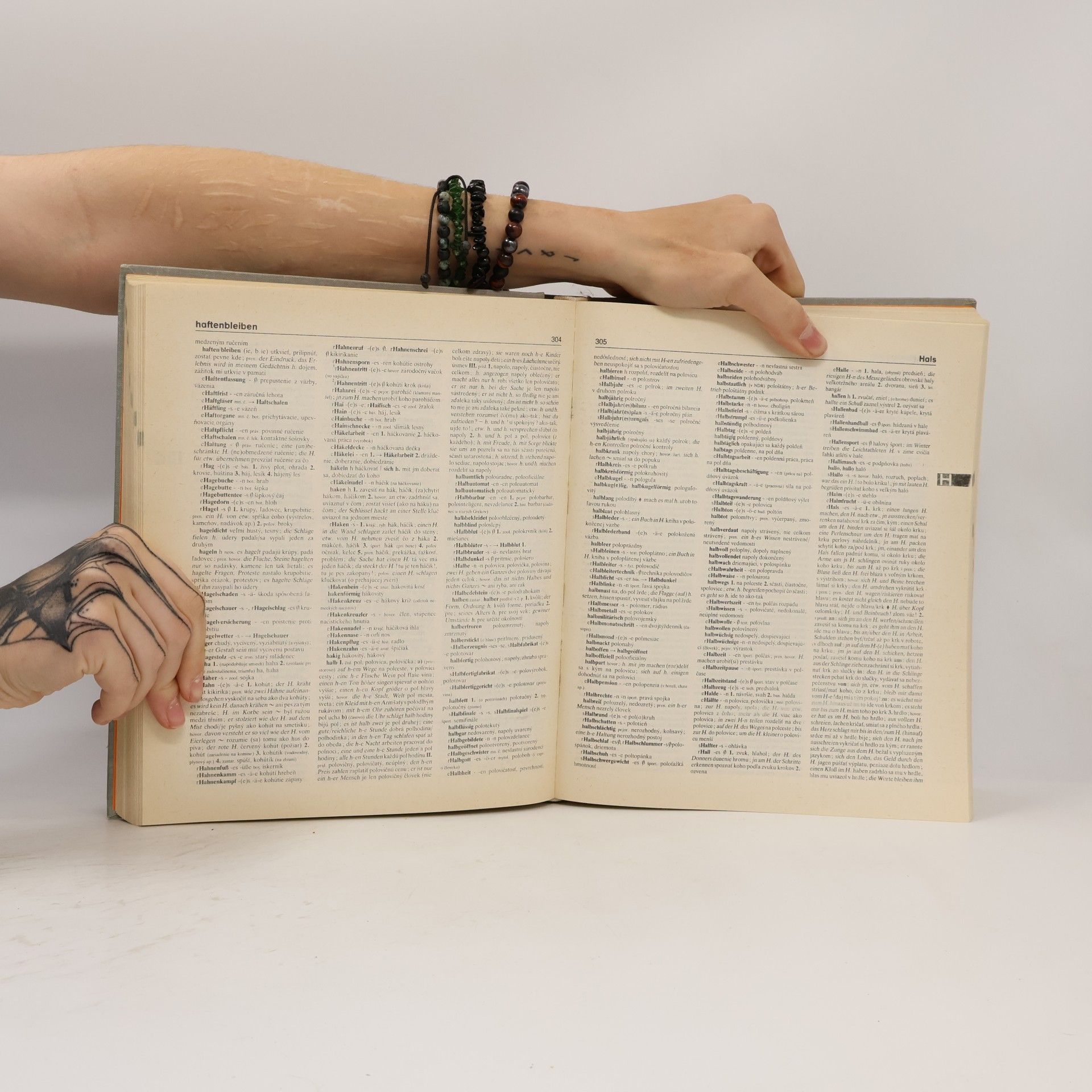 Mária Čierna Nemecko-slovenský slovník, Deutsch-slowakisches Wörterbuch