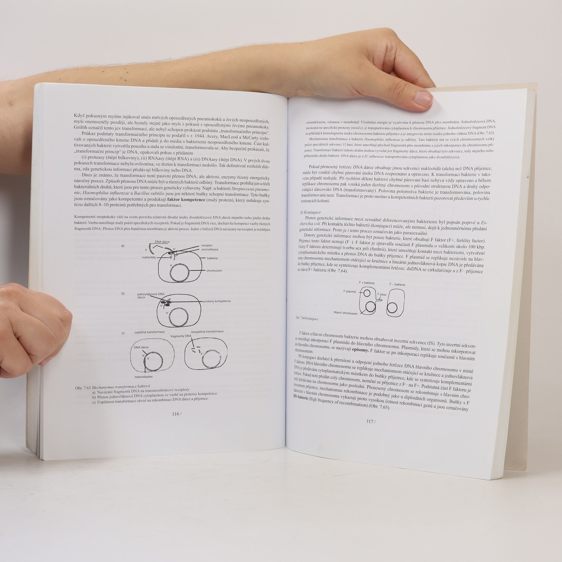 Milada Kohoutova Lékařská biologie a genetika 2.