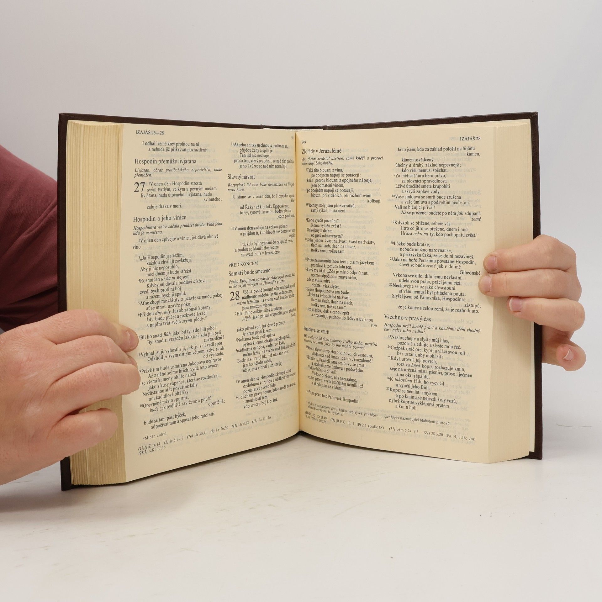 Various authors Bible. Písmo svaté Starého a Nového Zákona. Ekumenický překlad