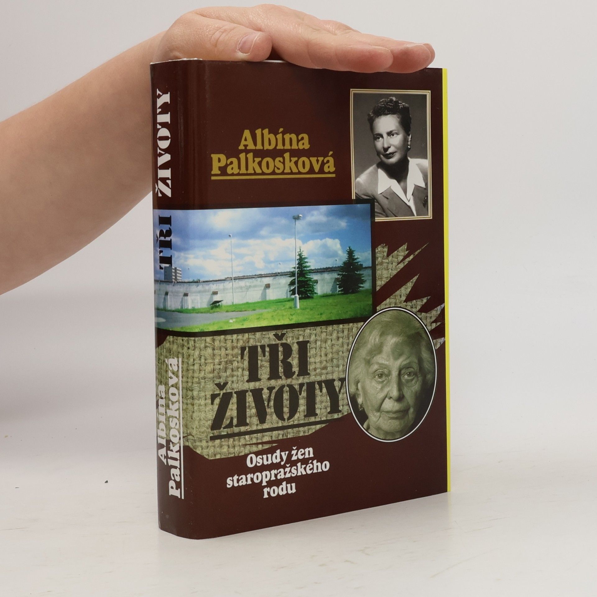 Various authors Tři životy: Osudy žen staropražského rodu