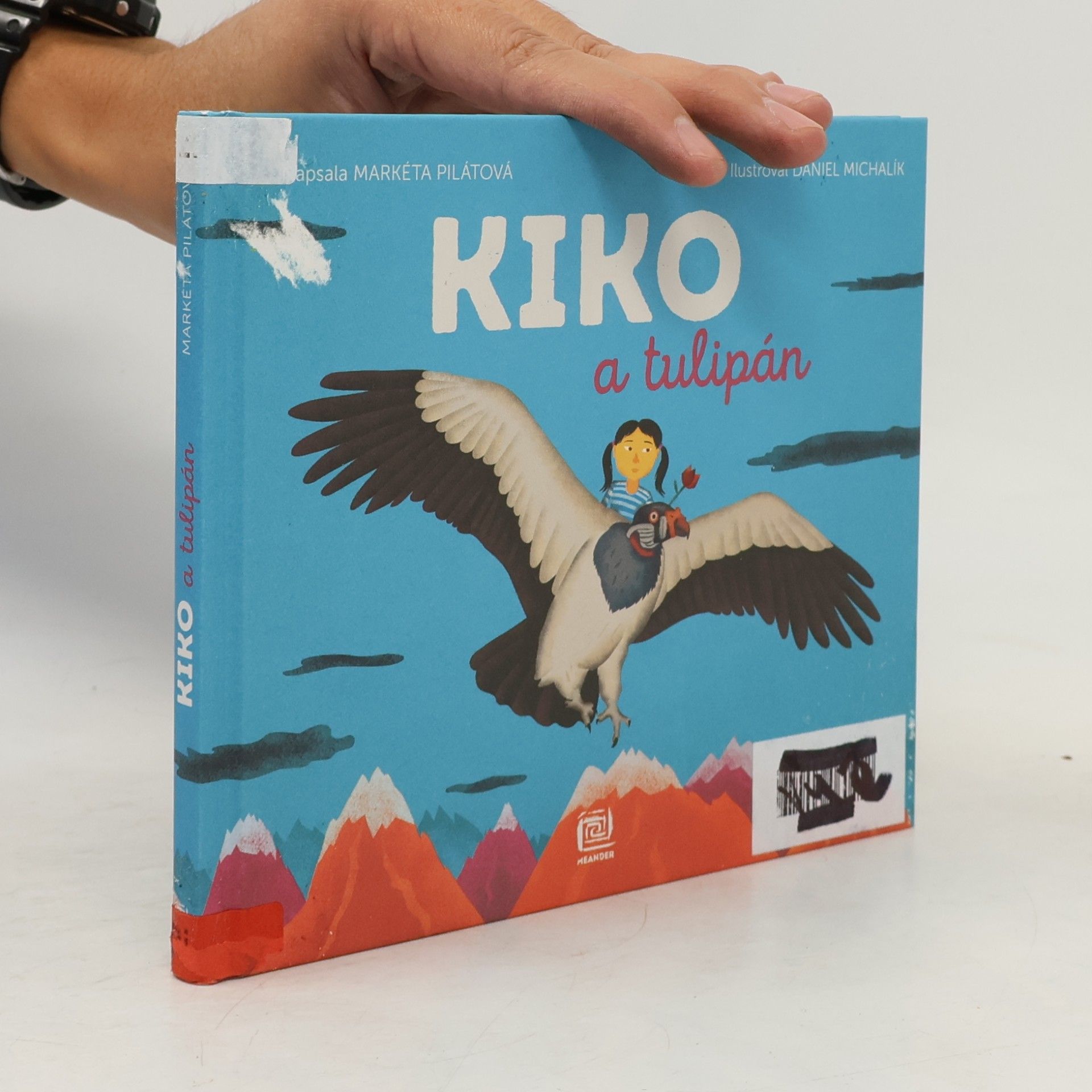 Daniel Michalík Kiko a tulipán