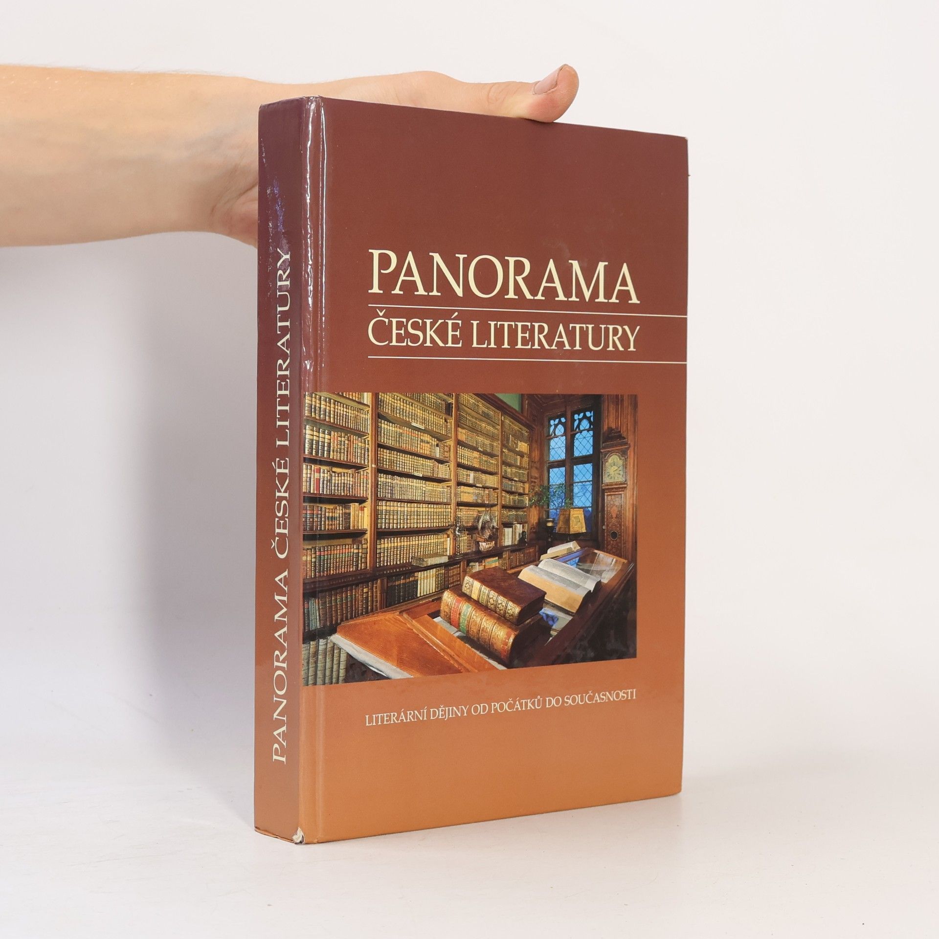 Josef Galík Panorama české literatury. Literární dějiny od počátků do současnosti