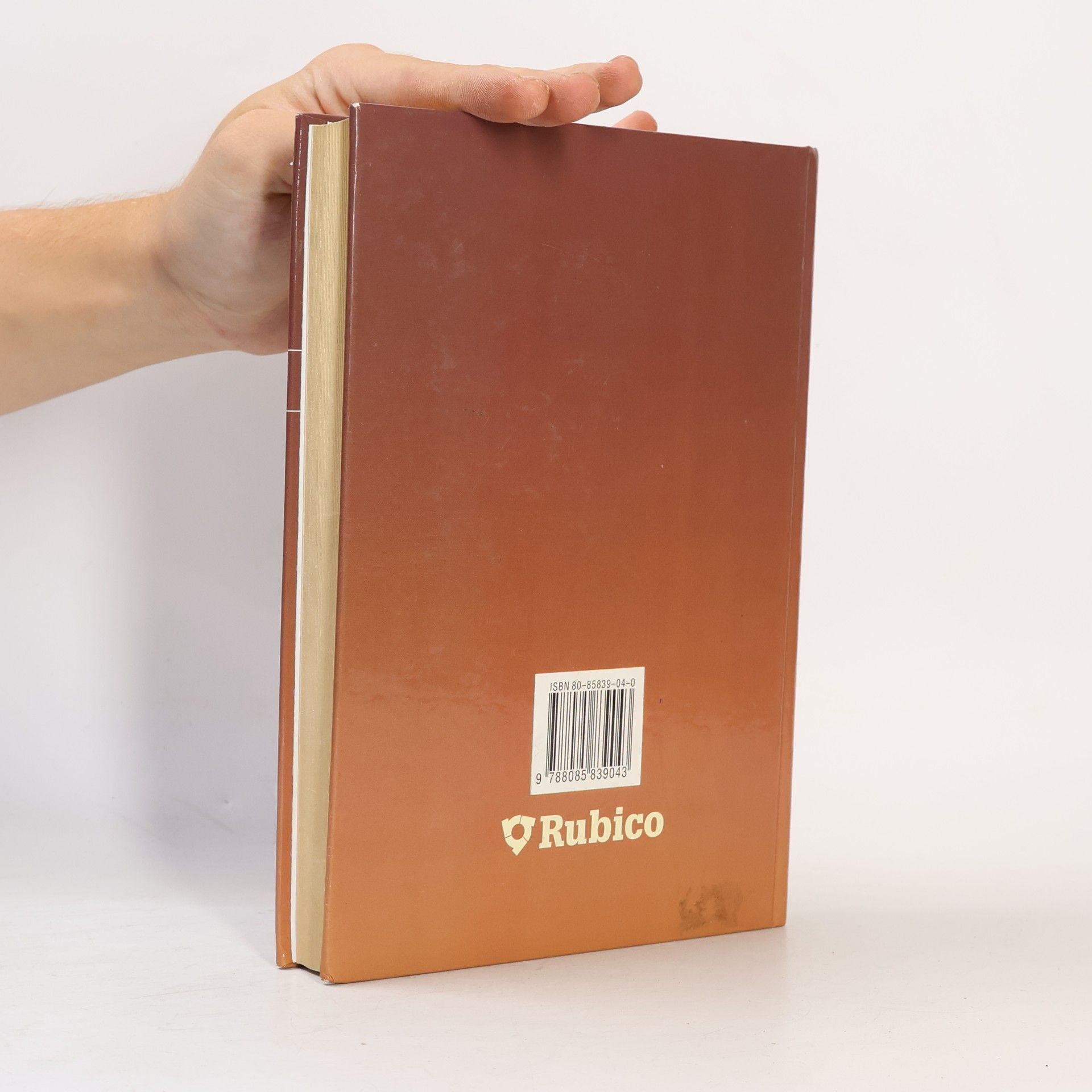 Autorenkollektiv Panorama české literatury. Literární dějiny od počátků do současnosti