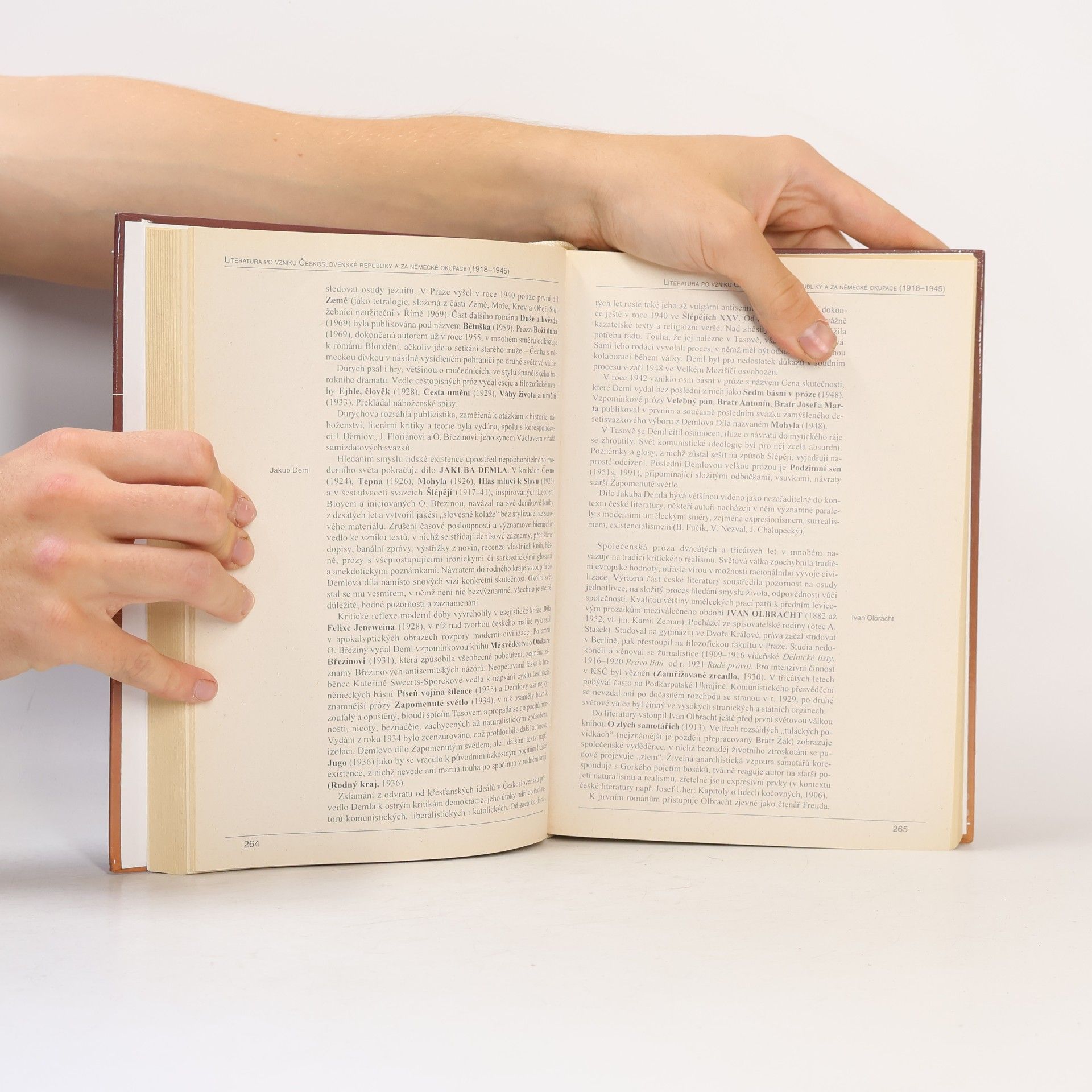 Autorenkollektiv Panorama české literatury. Literární dějiny od počátků do současnosti