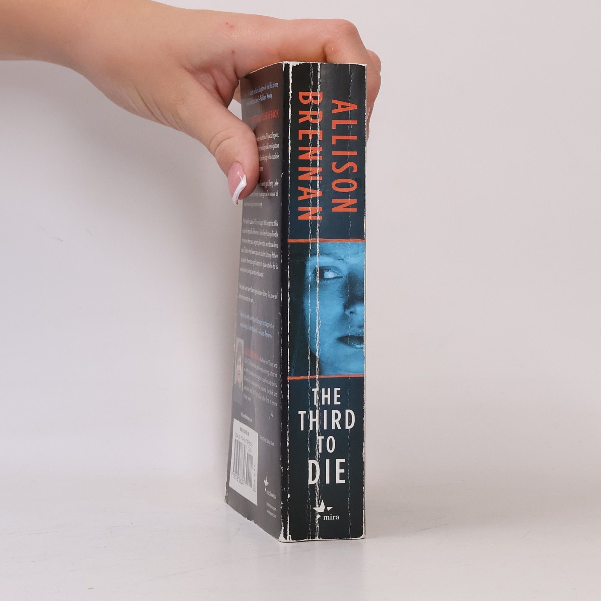 Allison Brennan The Third to Die