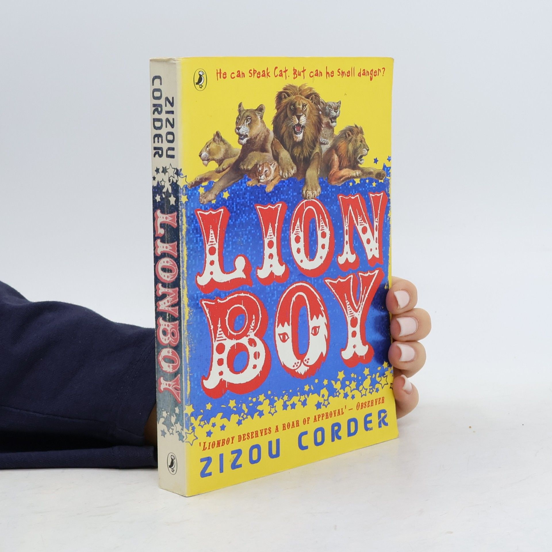 Zizou Corder Lionboy