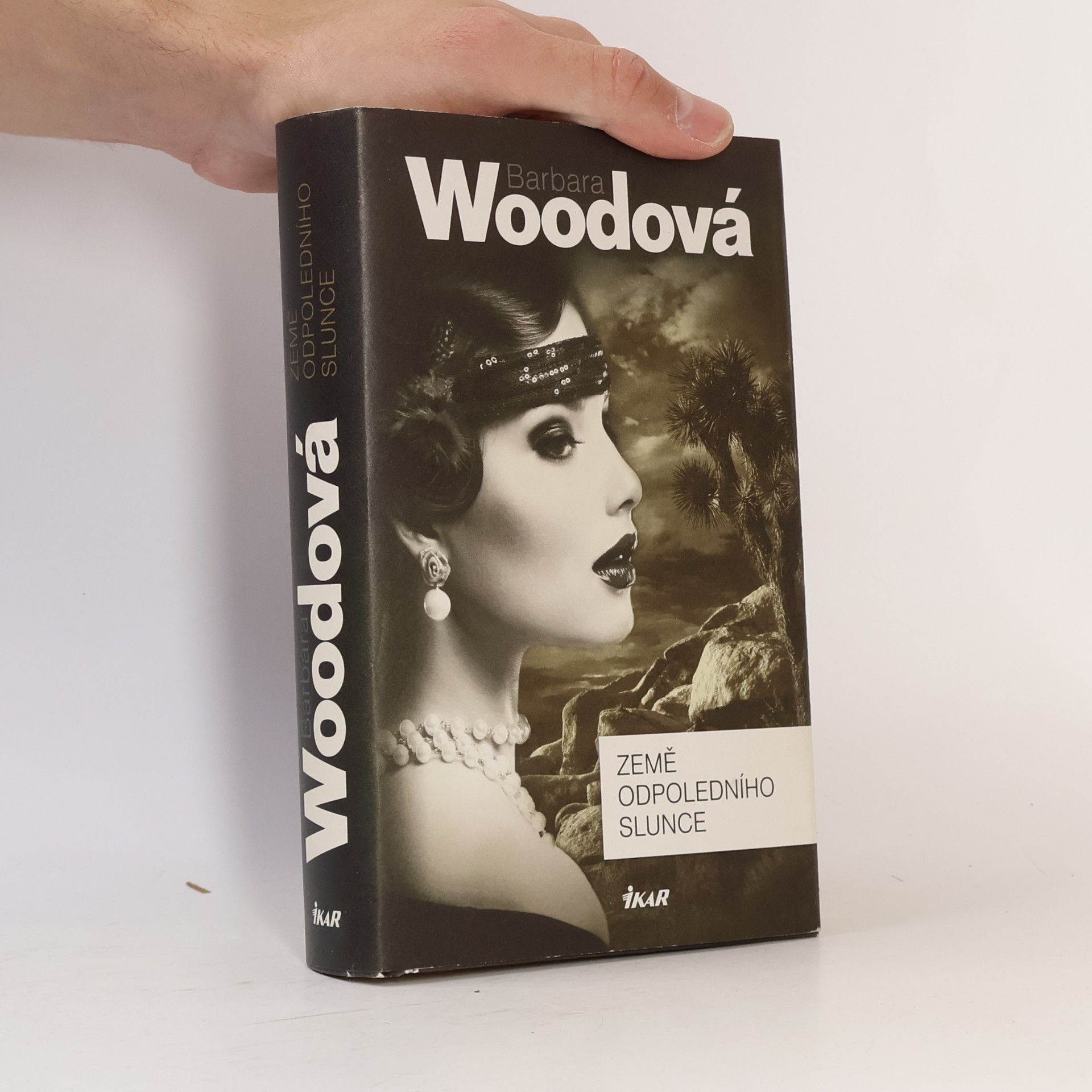 Barbara Wood Země odpoledního slunce