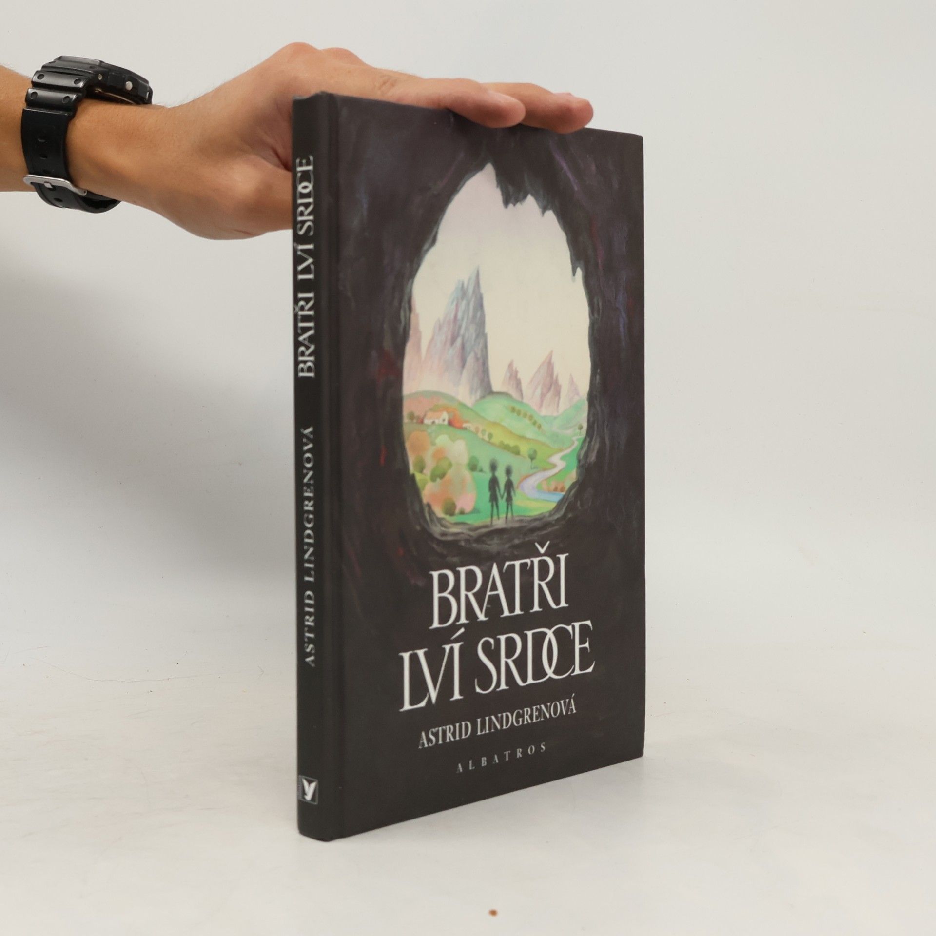 Astrid Lindgren Bratři Lví srdce