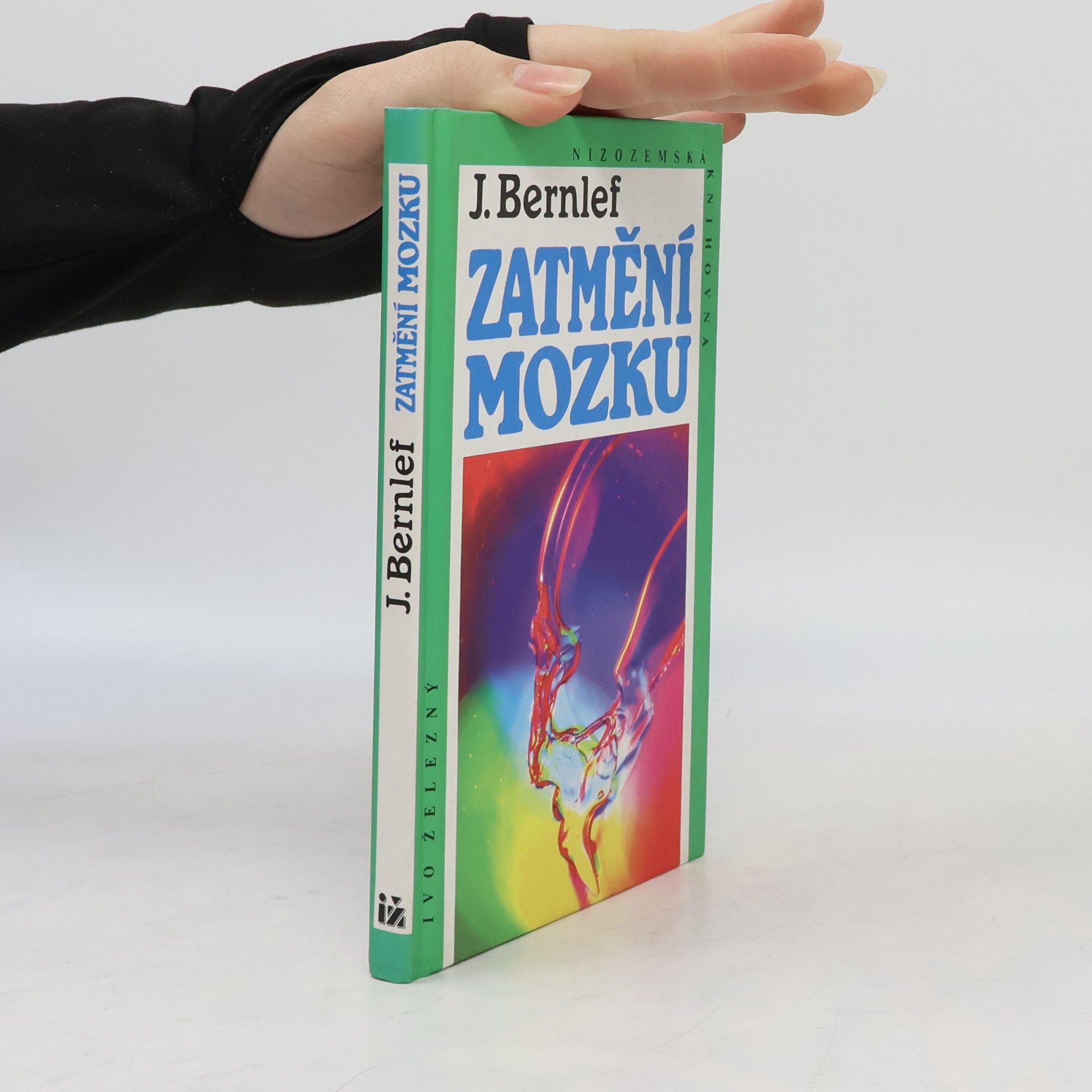 J. Bernlef Zatmění mozku
