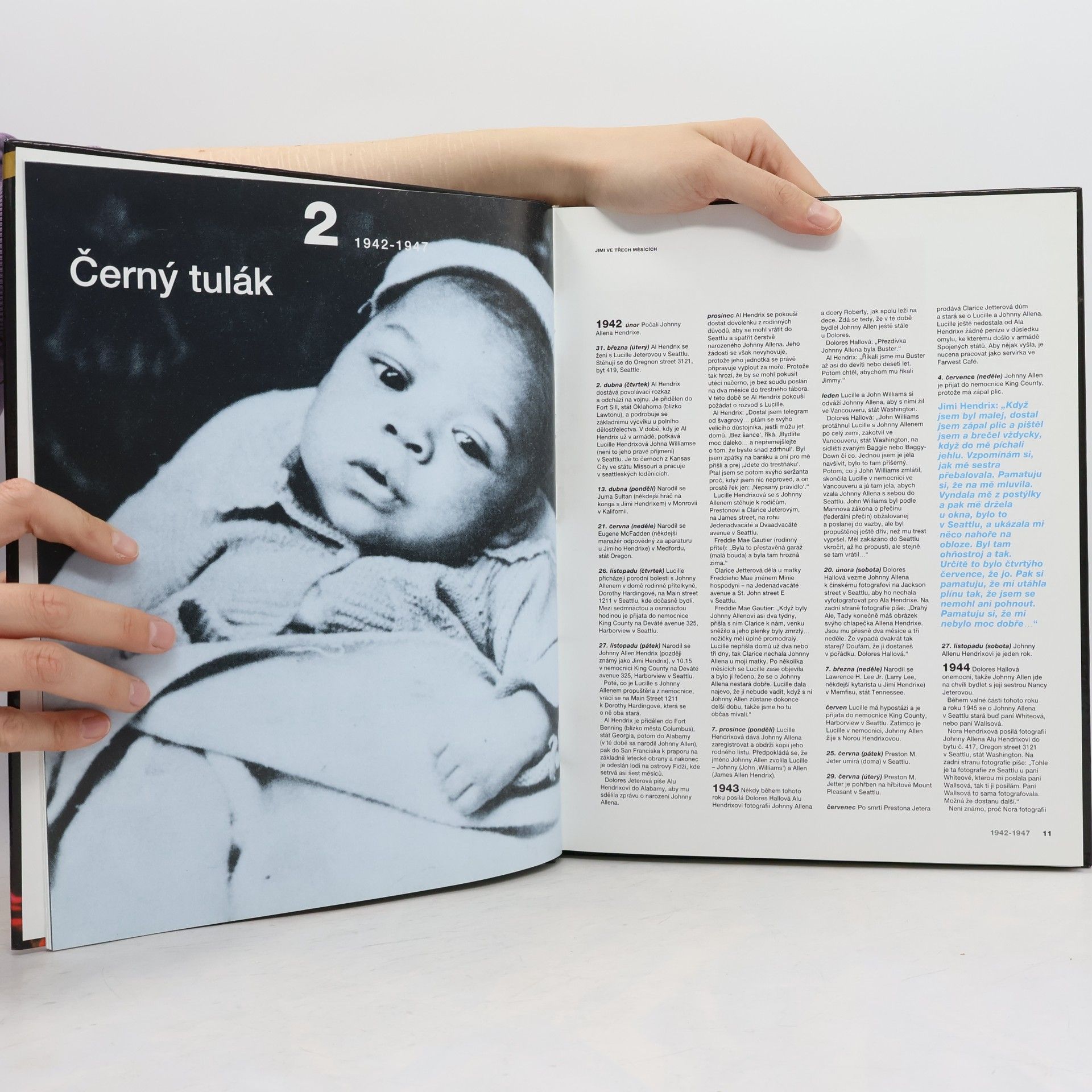 Tony Brown Jimi Hendrix jeho život, lásky a hudba