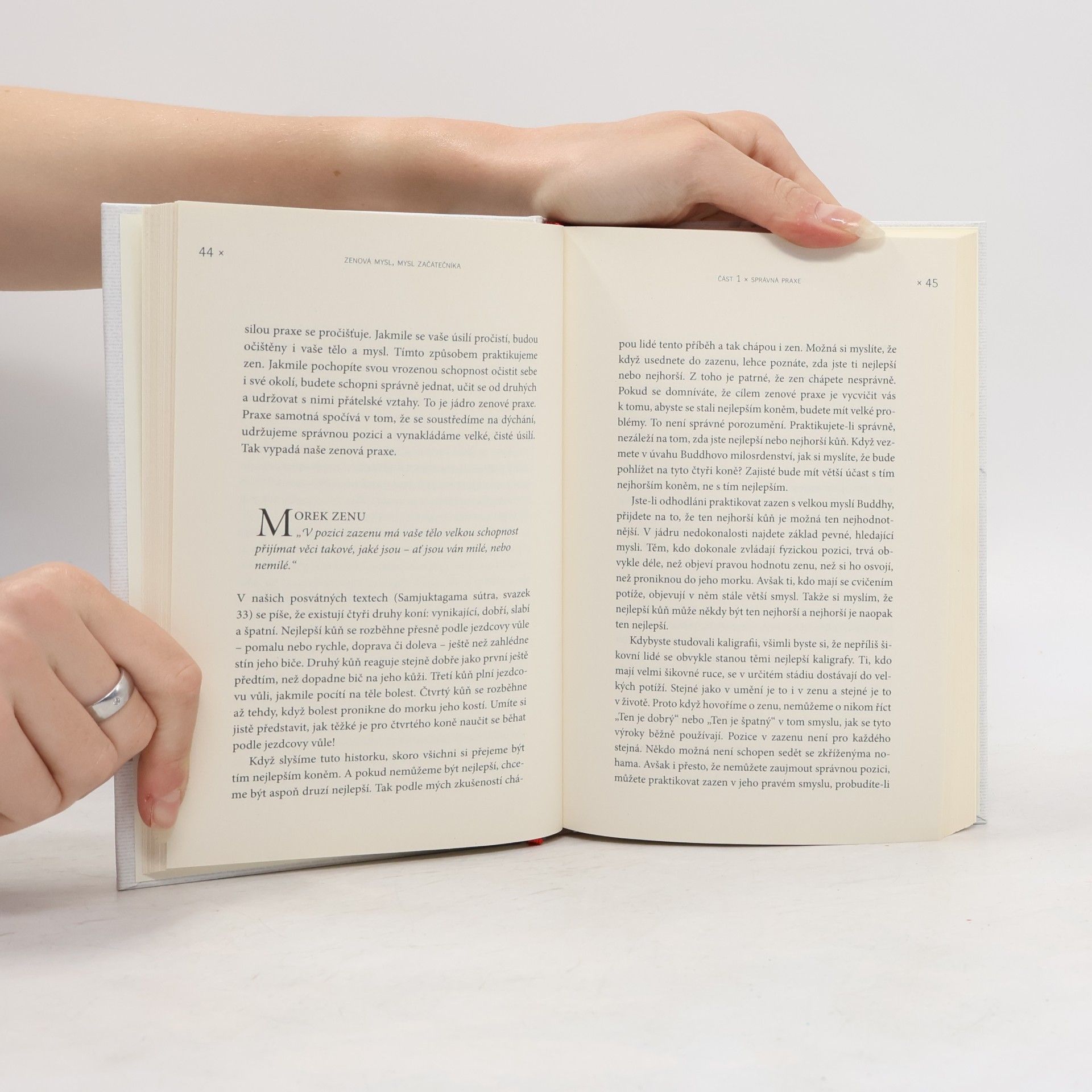 Shunryu Suzuki Zenová mysl, mysl začátečníka: Všední hovory o zenu