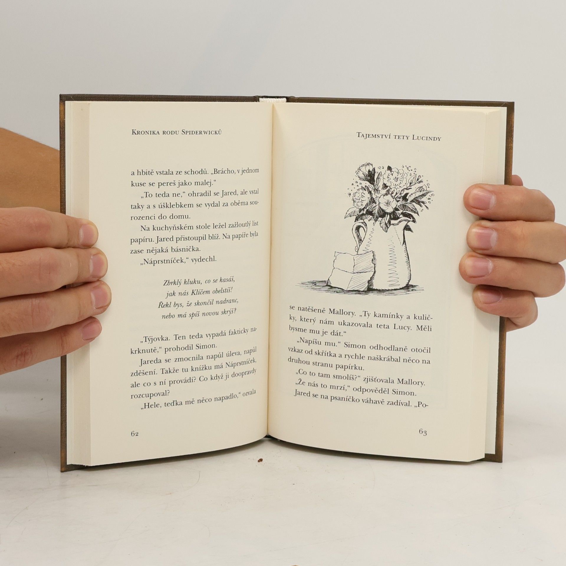 Tony DiTerlizzi Kronika rodu Spiderwicků. Kniha 3, Tajemství tety Lucindy