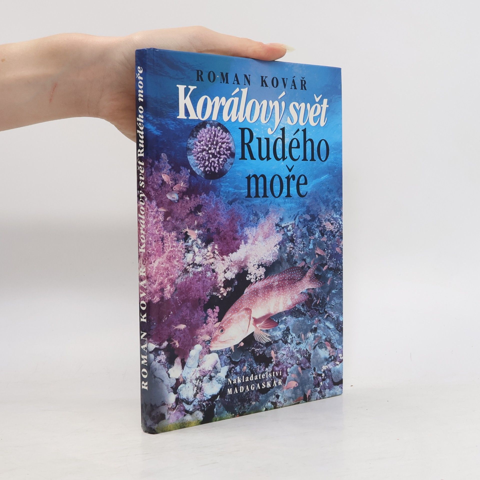 Roman Kovář Korálový svět Rudého moře