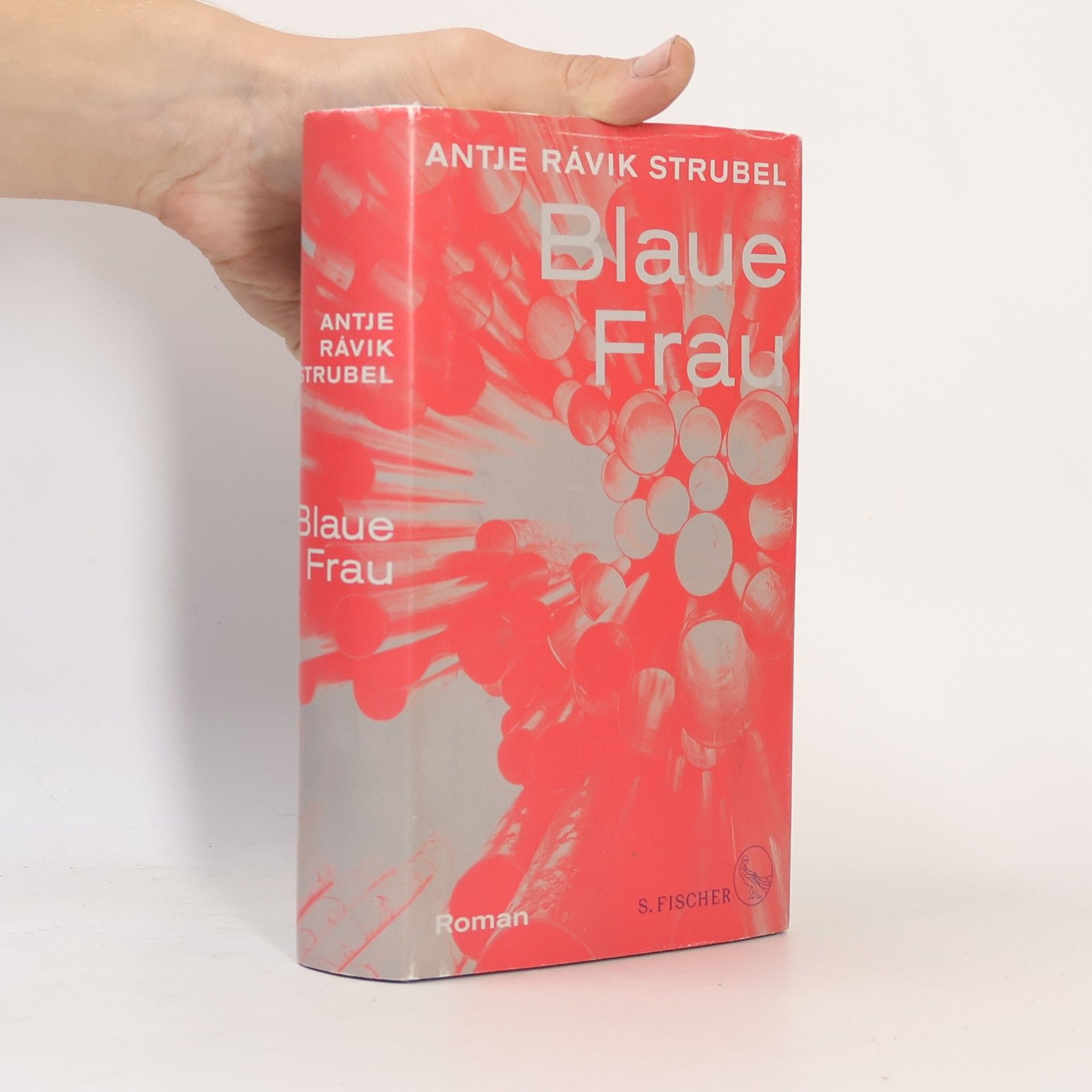 Antje Rávic Strubel Blaue Frau