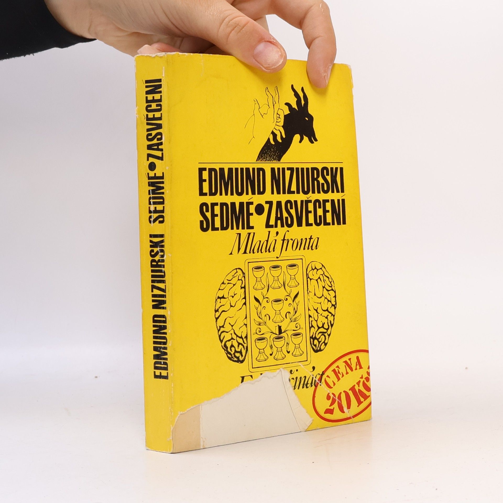 Edmund Niziurski Sedmé zasvěcení