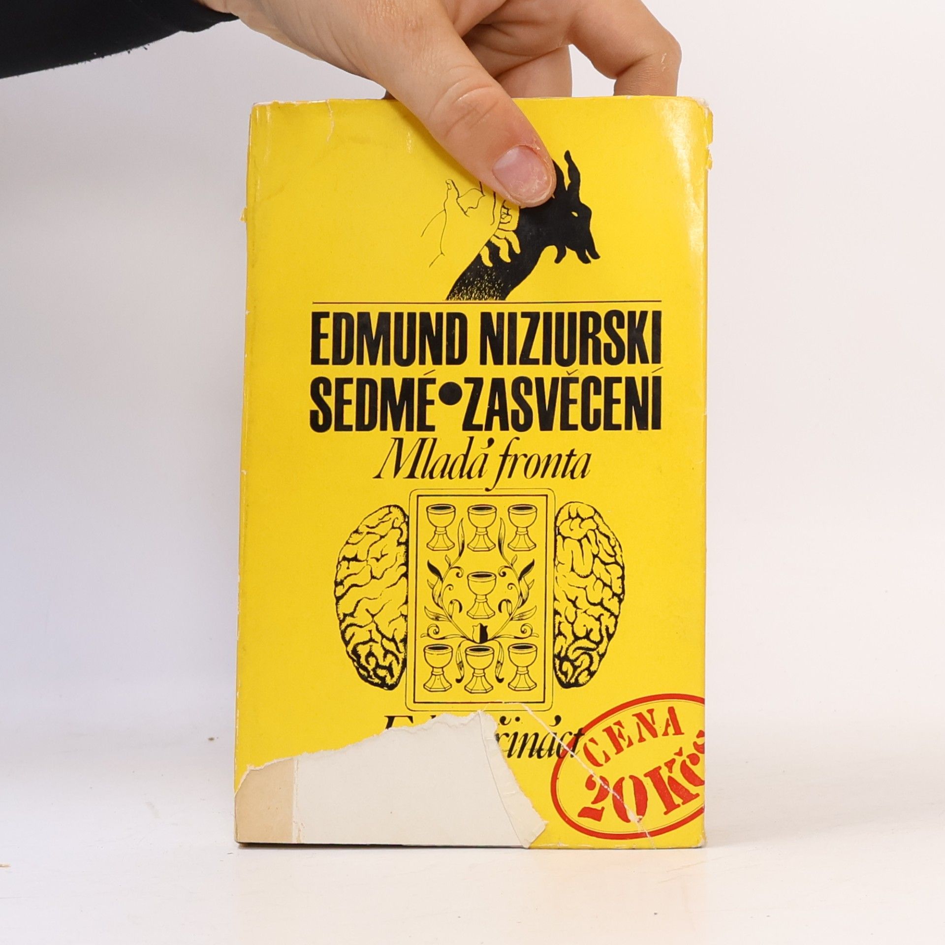 Edmund Niziurski Sedmé zasvěcení