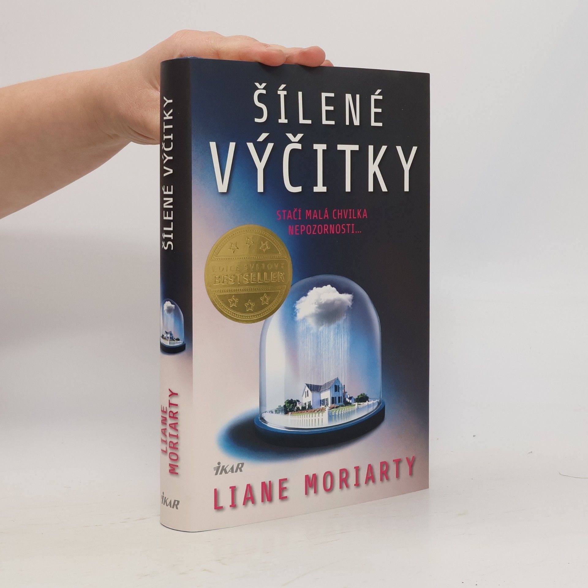 Šílené výčitky