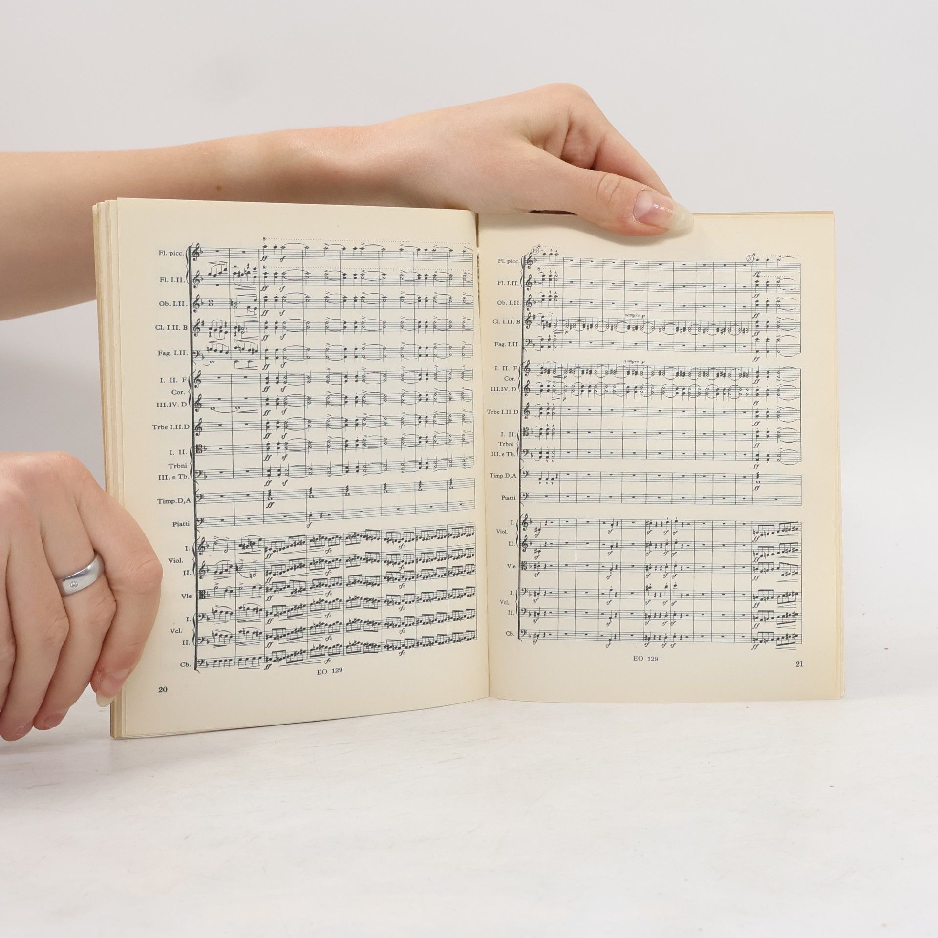 Bedřich Smetana Má vlast V.