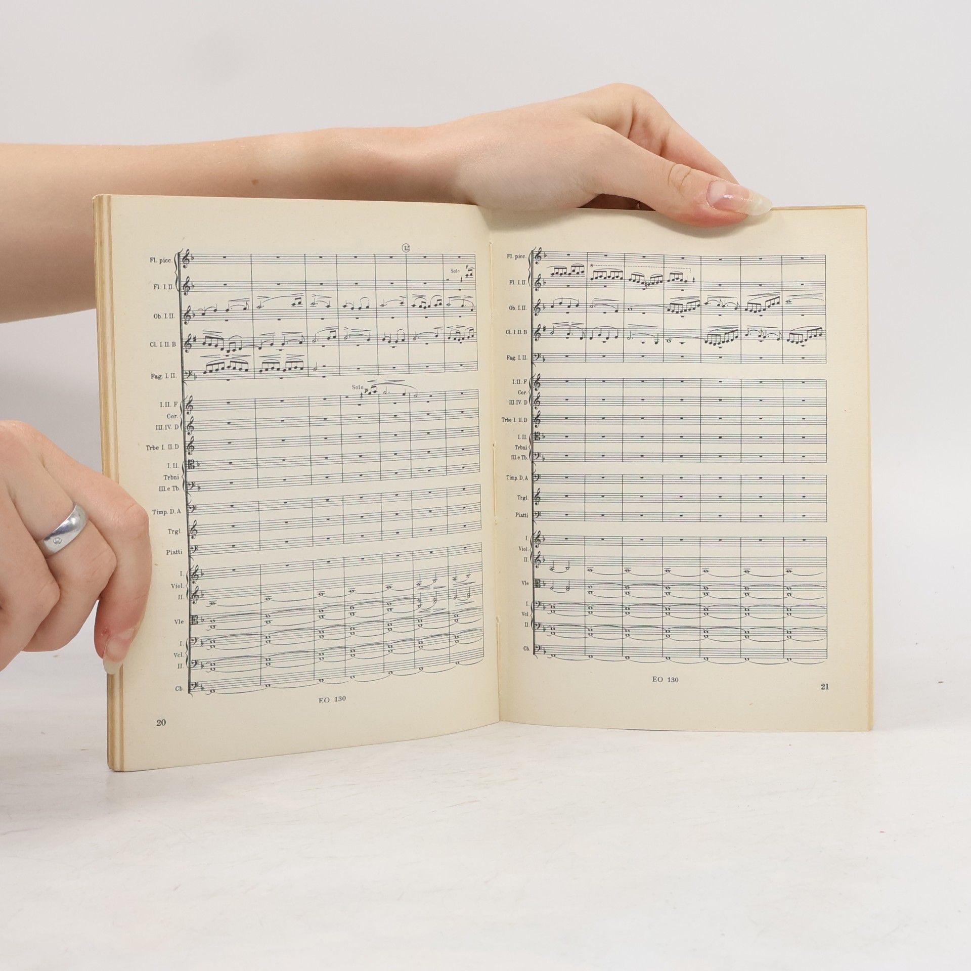 Bedřich Smetana Má vlast VI.