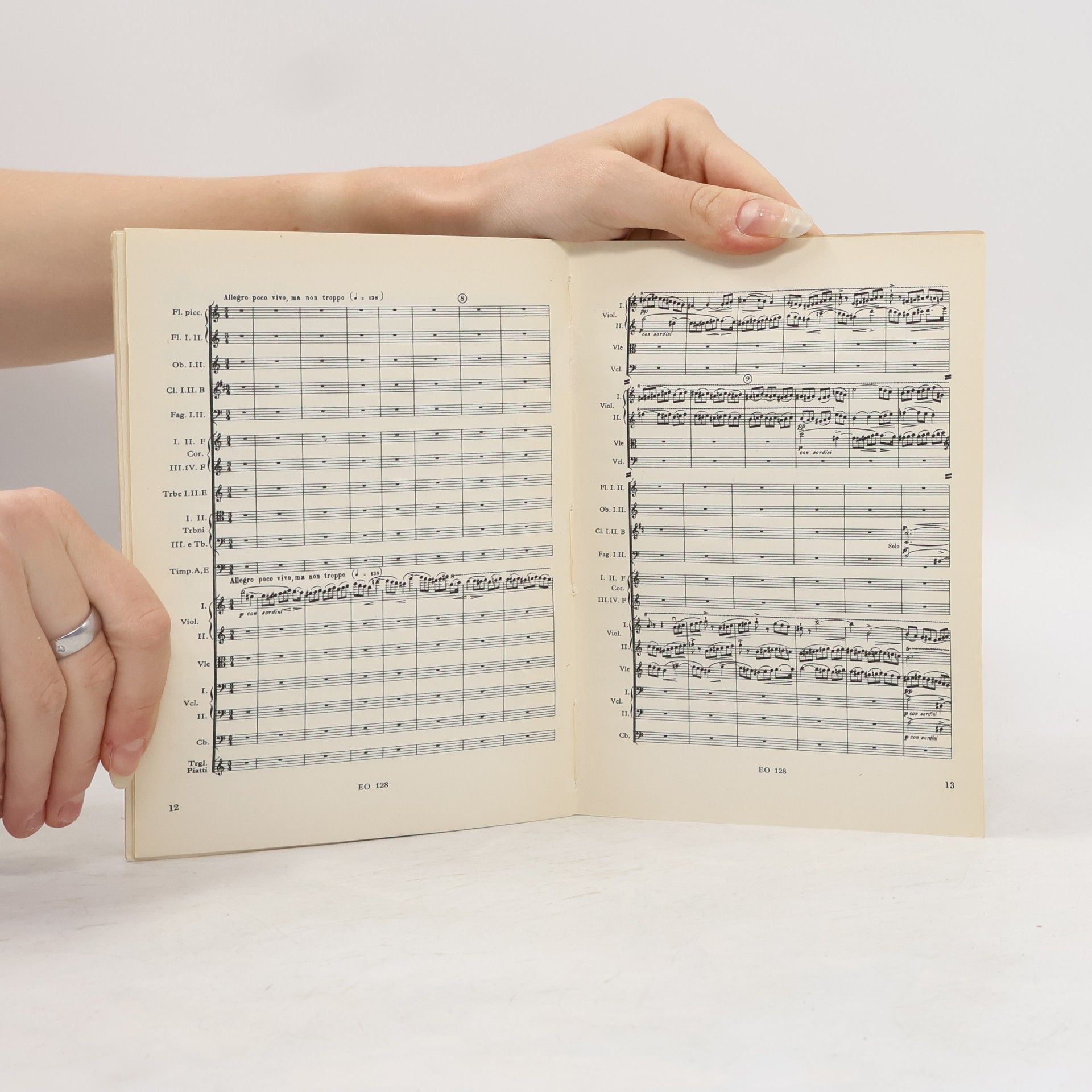 Bedřich Smetana Má vlast IV.