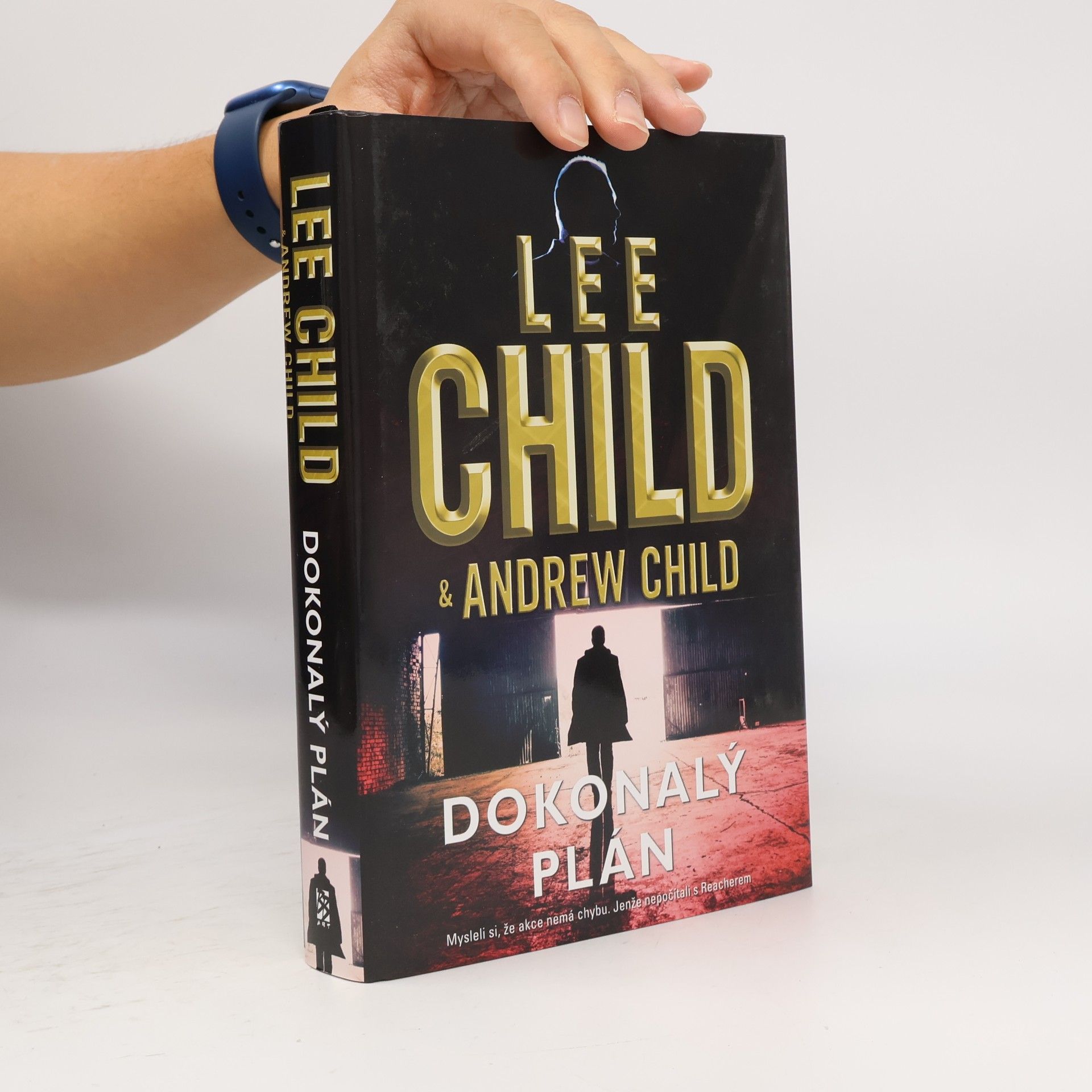 Lee Child Dokonalý plán