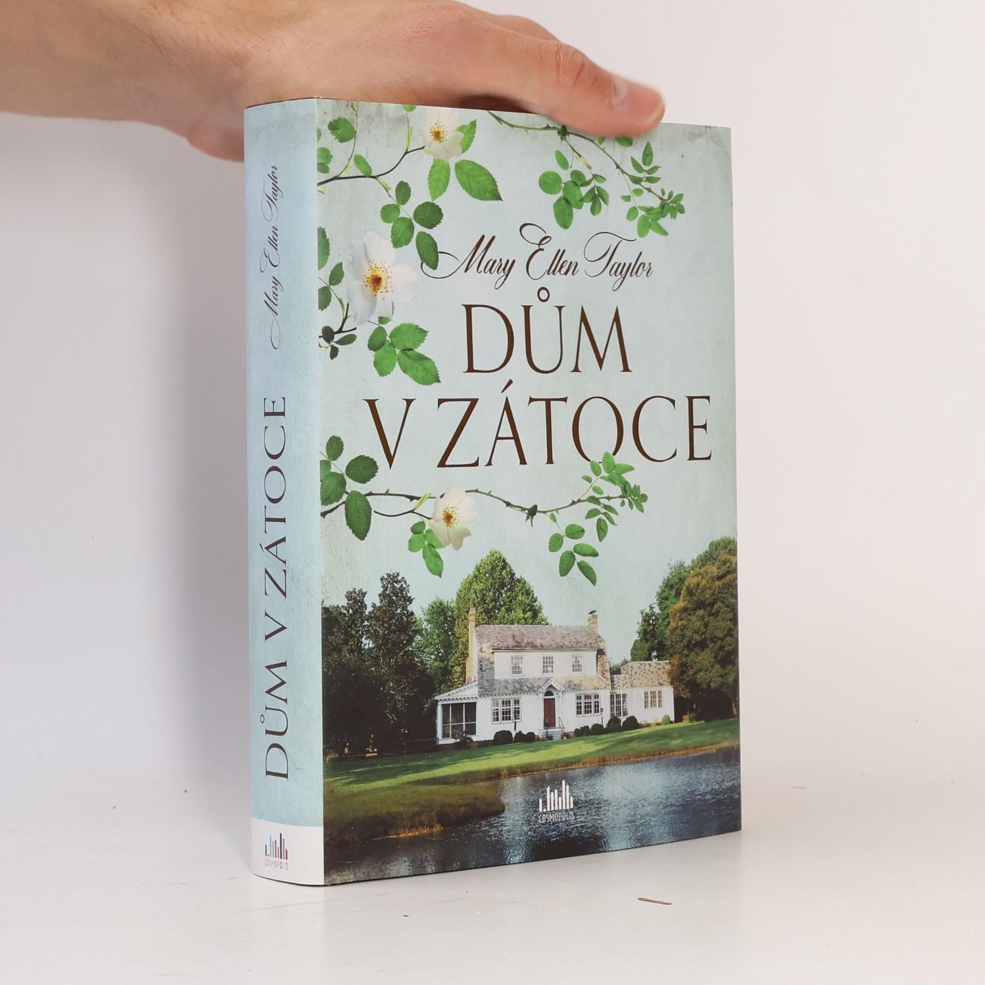 Mary Ellen Taylor Dům v zátoce