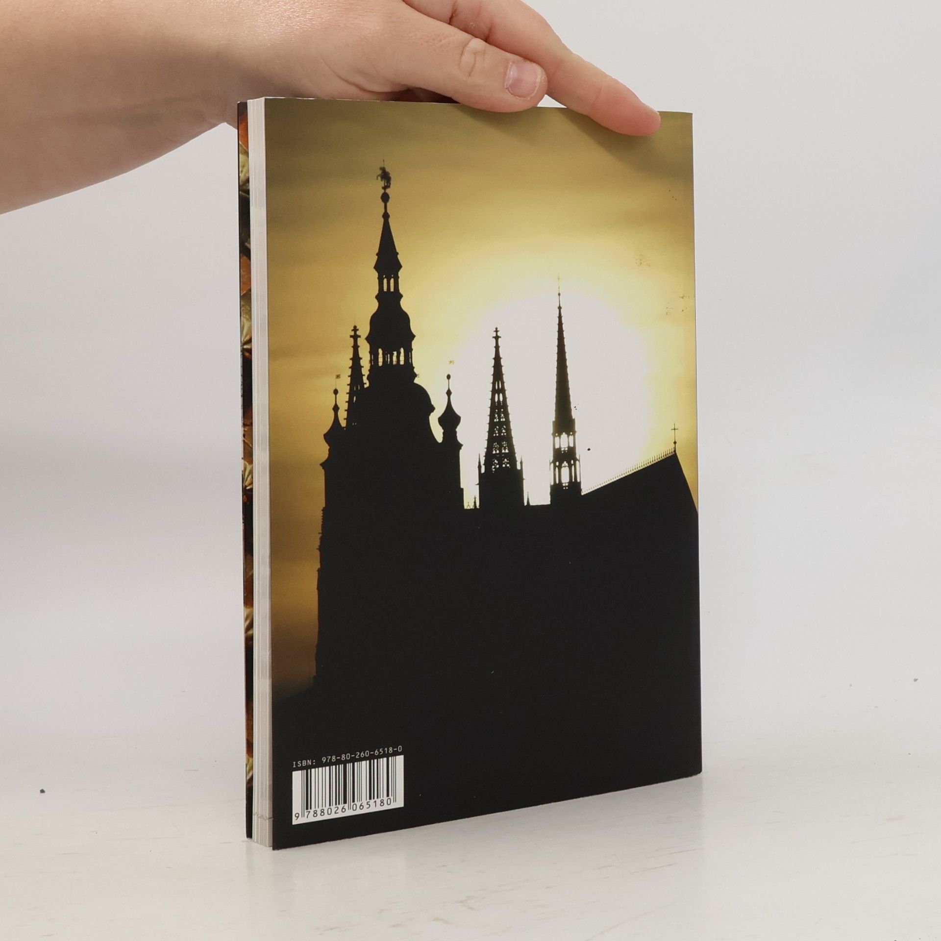 Luděk Sládek Pražský hrad. Nádvořími do zahrad