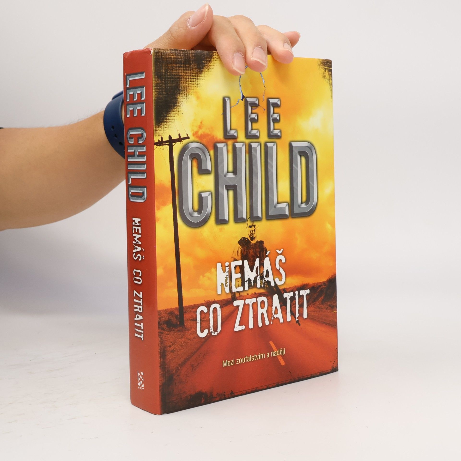 Lee Child Nemáš co ztratit