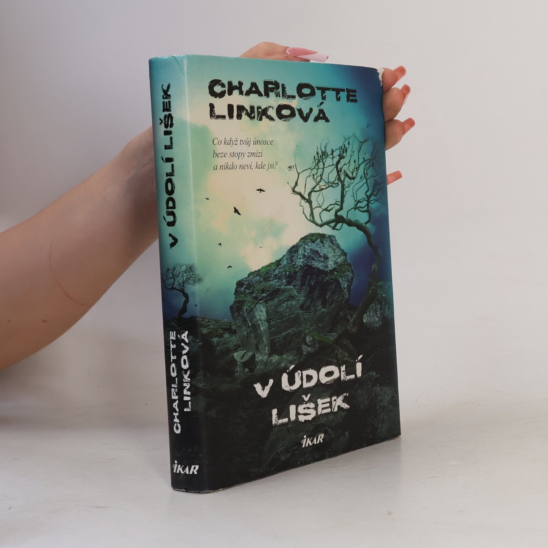 V údolí lišek