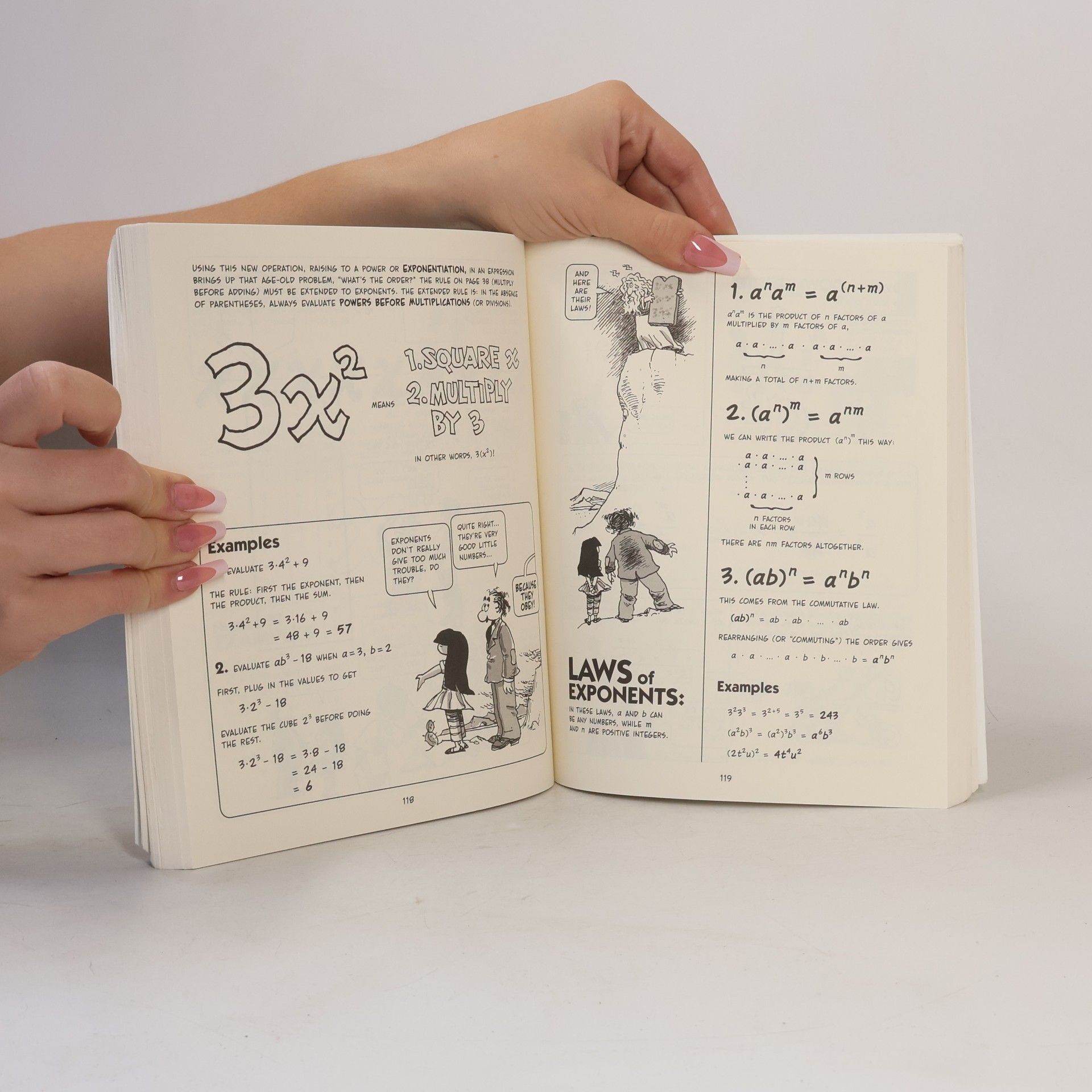 Larry Gonick The Cartoon Guide to Algebra