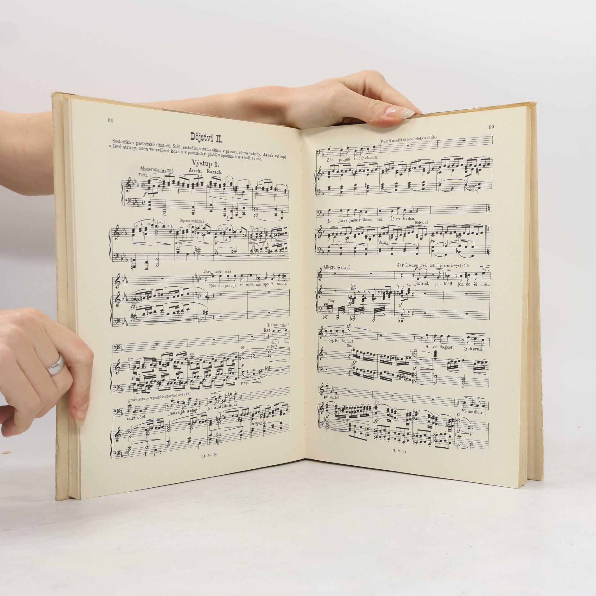 Bedřich Smetana Čertova stěna