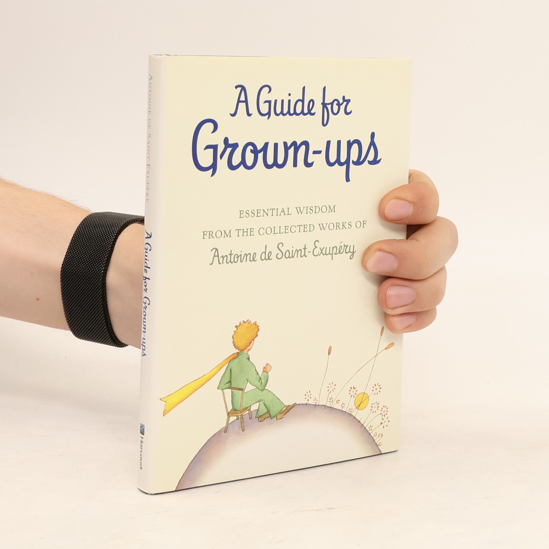 Antoine de Saint-Exupéry A Guide for Grown-ups