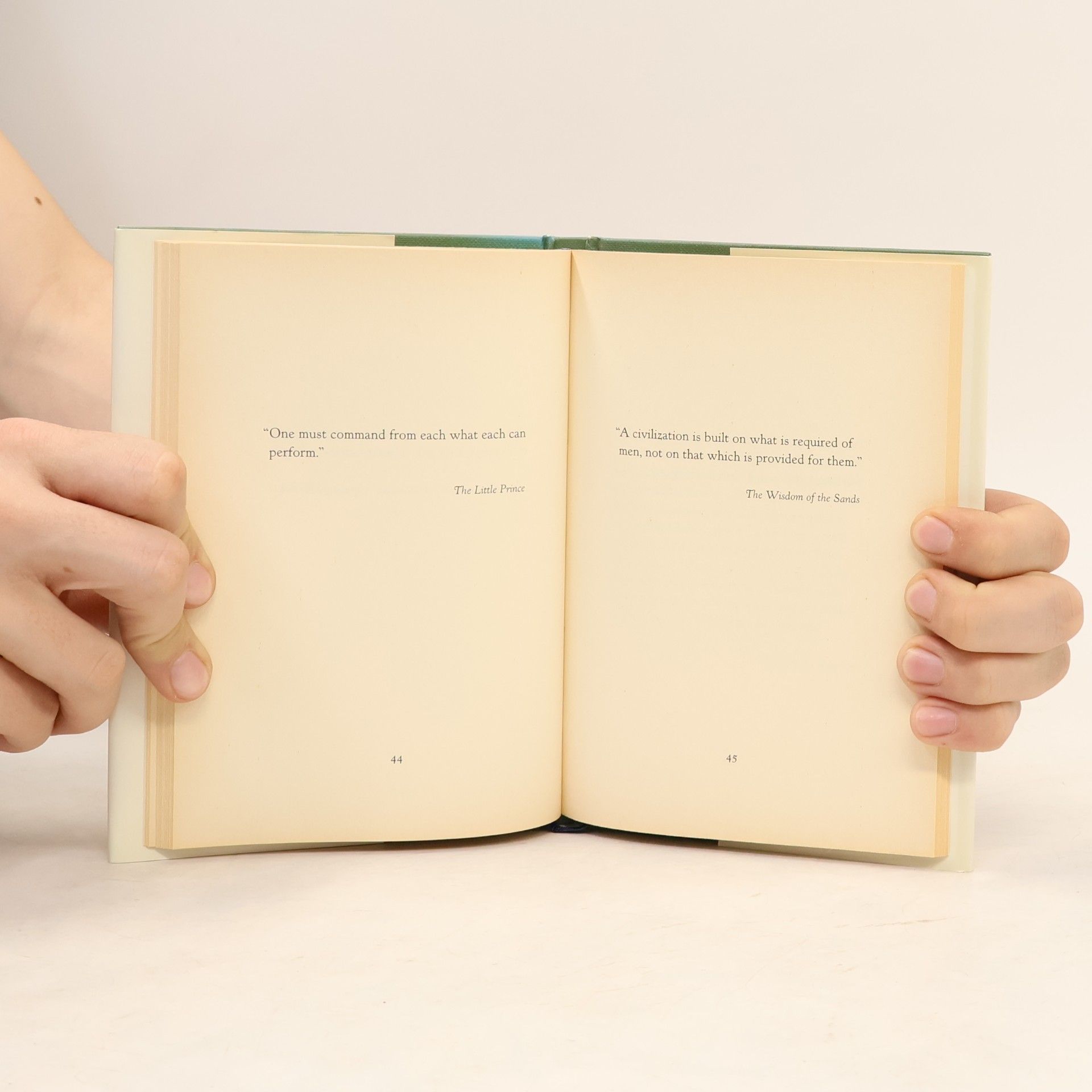 Antoine de Saint-Exupéry A Guide for Grown-ups