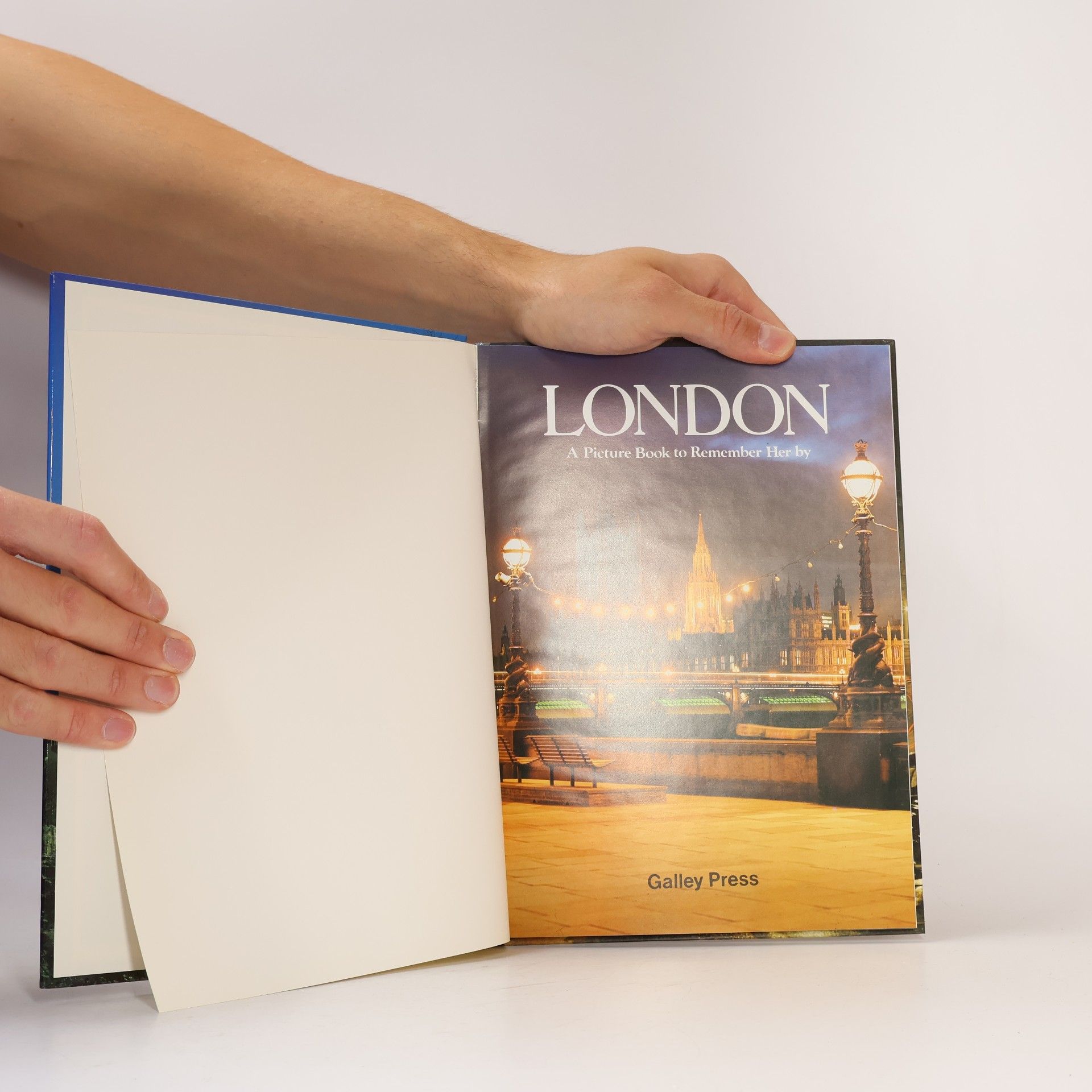 Kolektiv autorů London - A Picture Book to Remember Her by