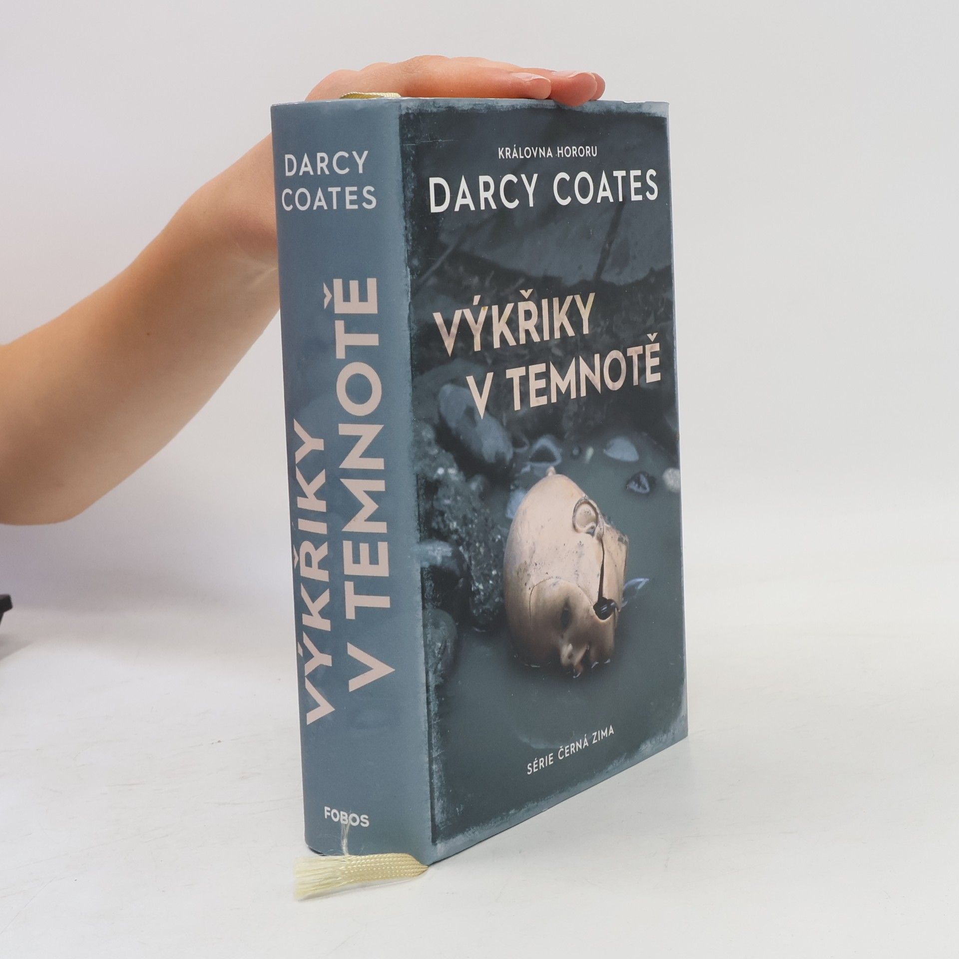 Darcy Coates Výkřiky v temnotě