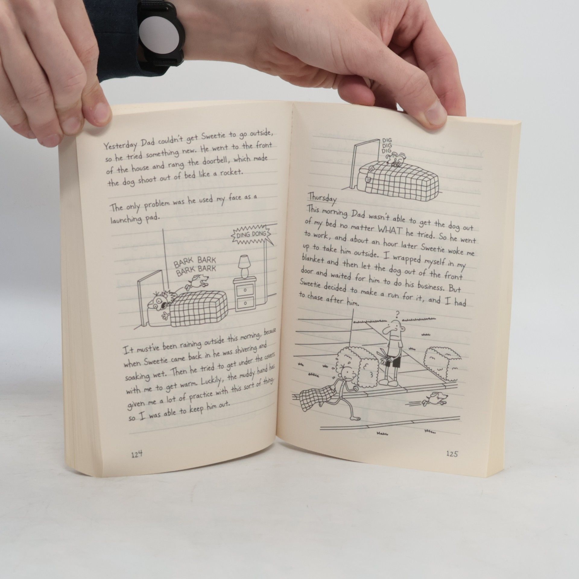 Jeff Kinney Diary of a wimpy kid : Dog days