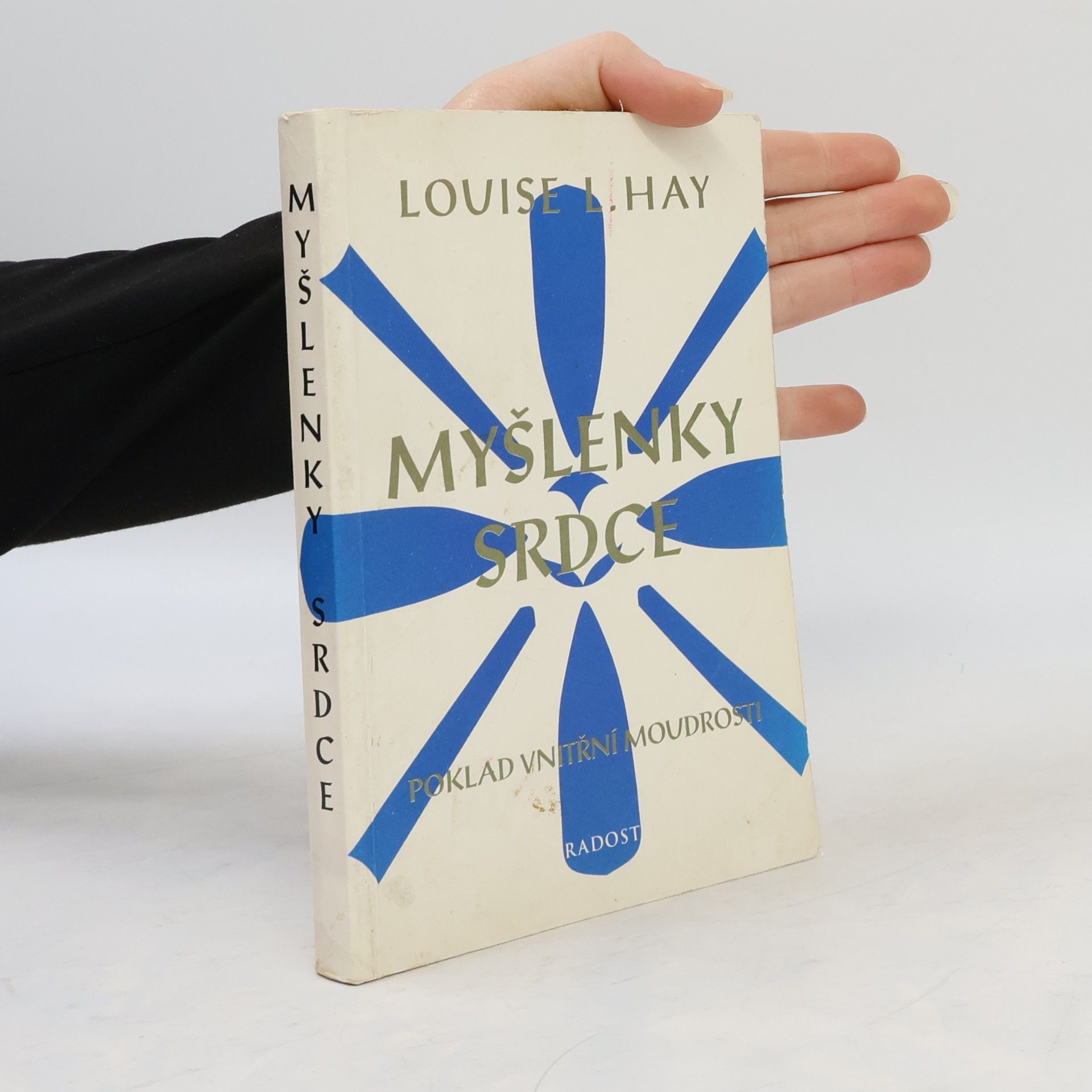 Louise Lynn Hay Myšlenky srdce