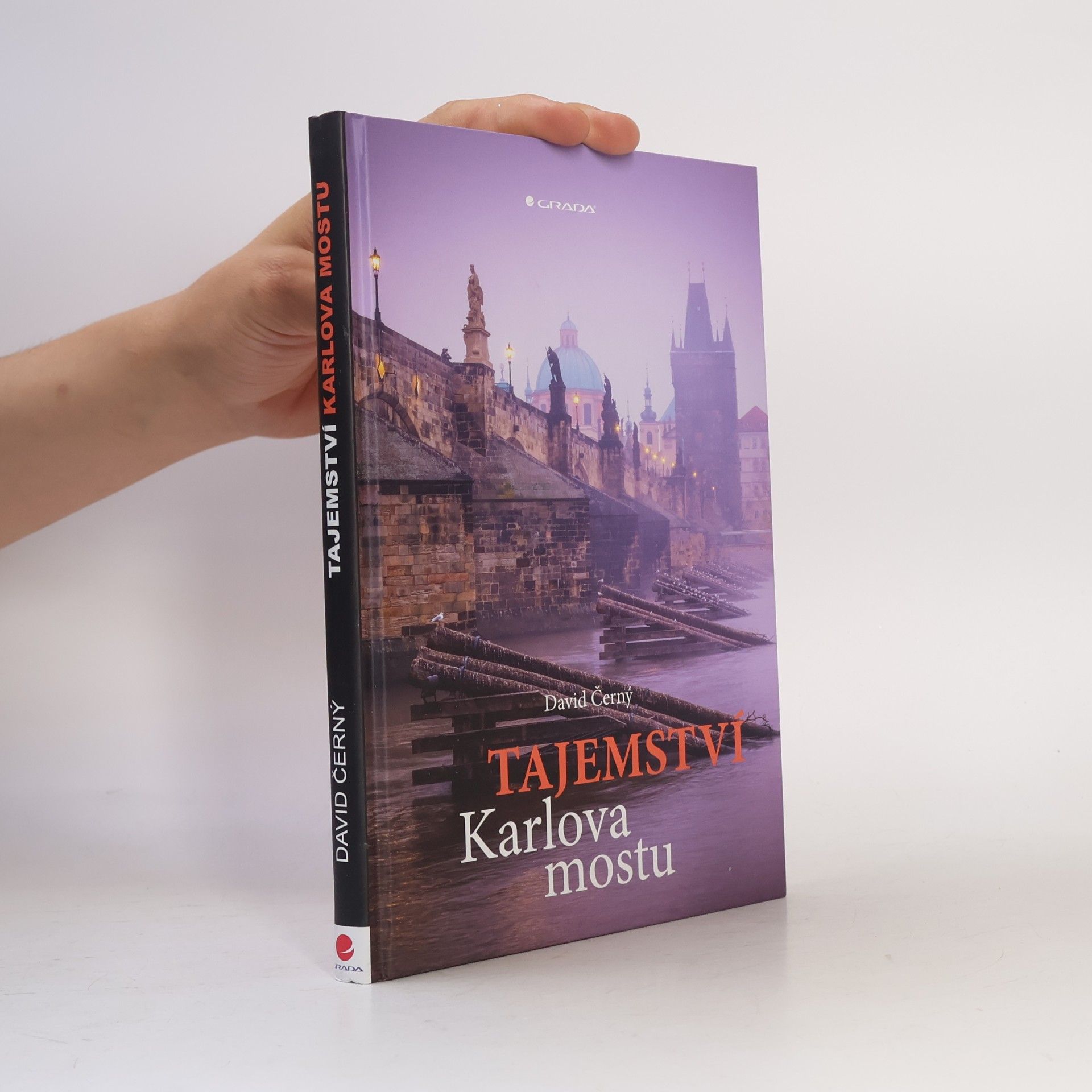 David Černý Tajemství Karlova mostu