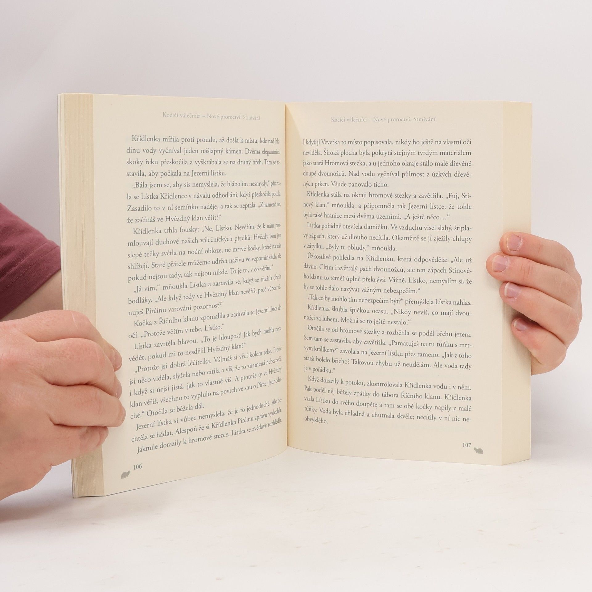 Erin Hunter Kočičí válečníci : nové proroctví. Stmívání