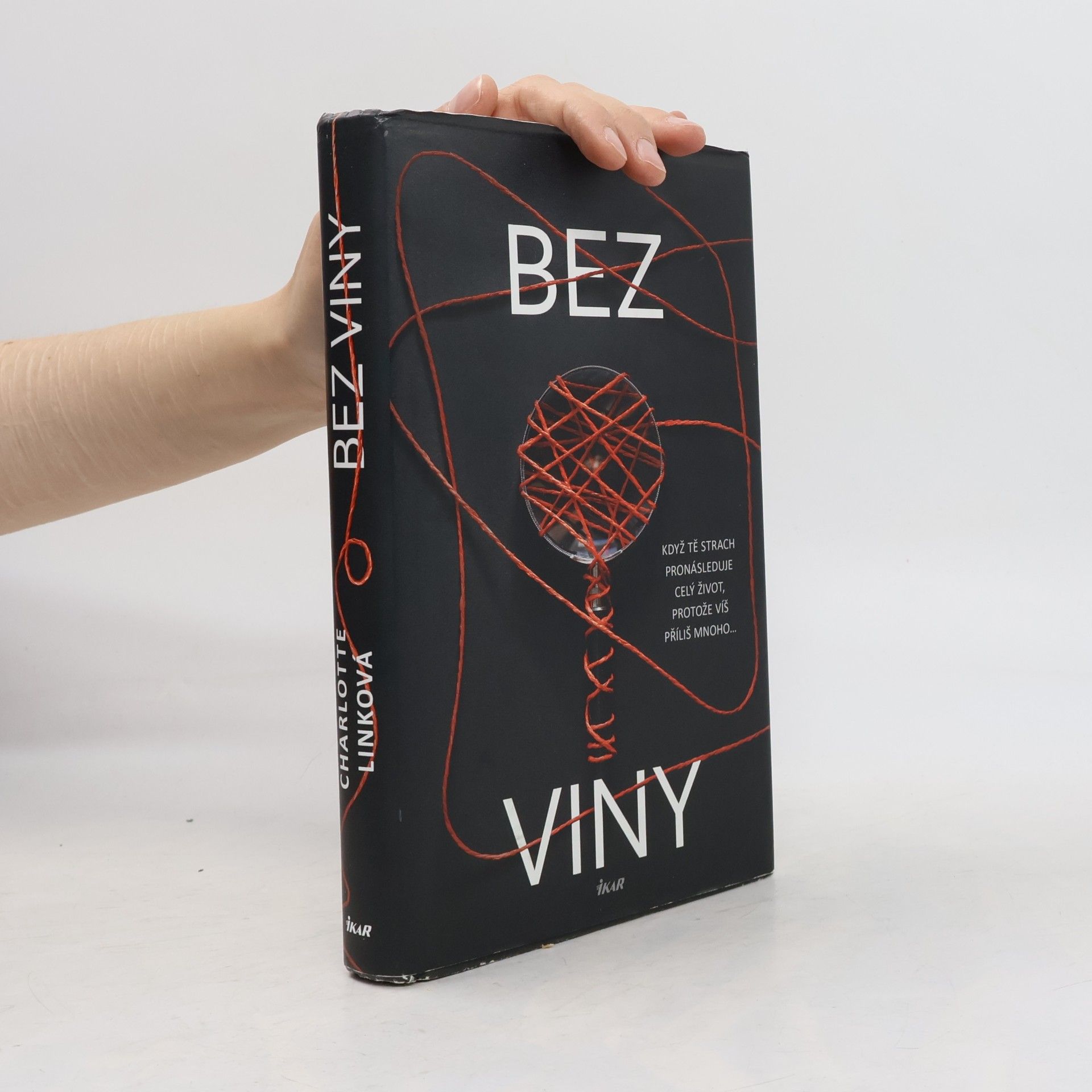Charlotte Link Bez viny