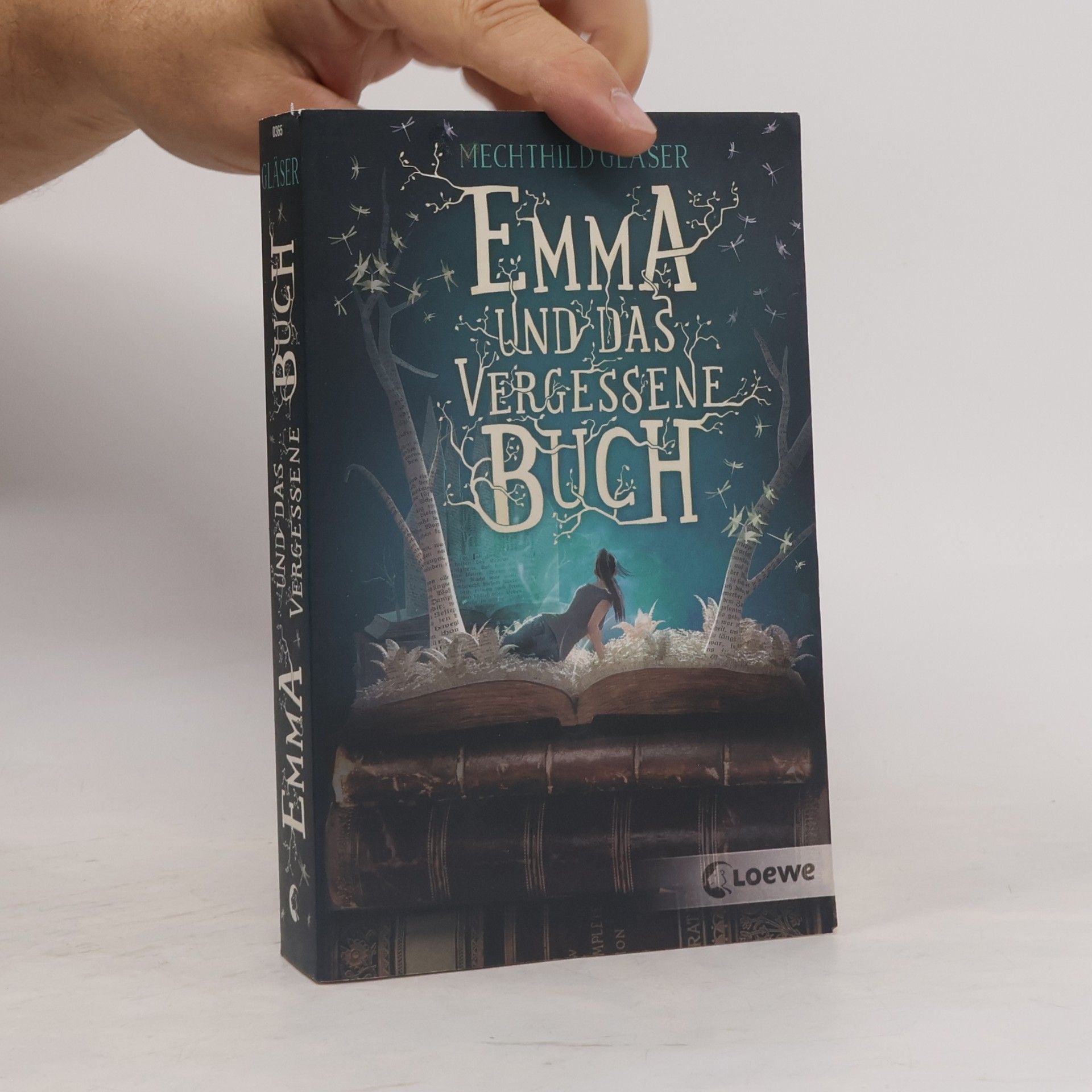 Mechthild Gläser Emma und das vergessene Buch