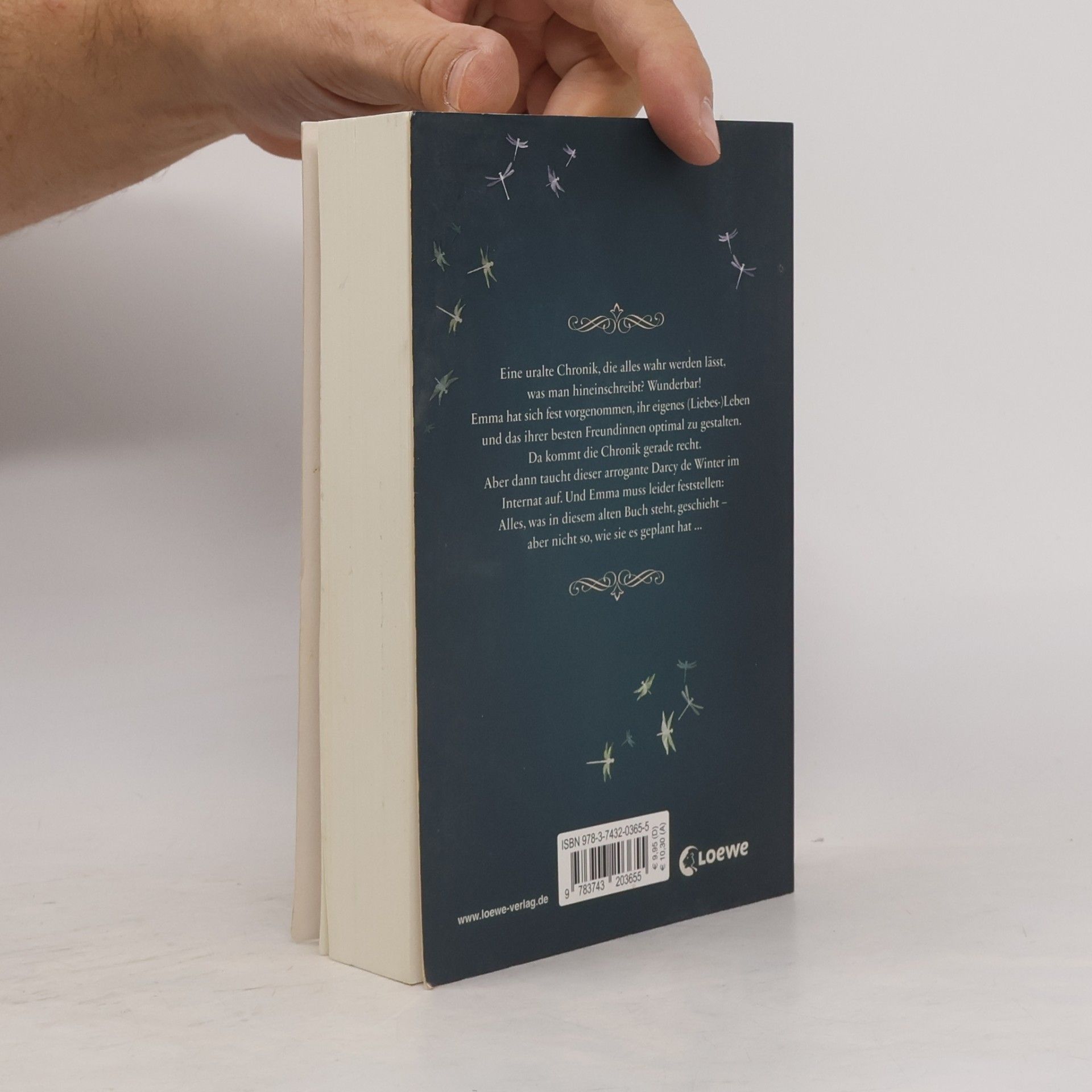 Mechthild Gläser Emma und das vergessene Buch