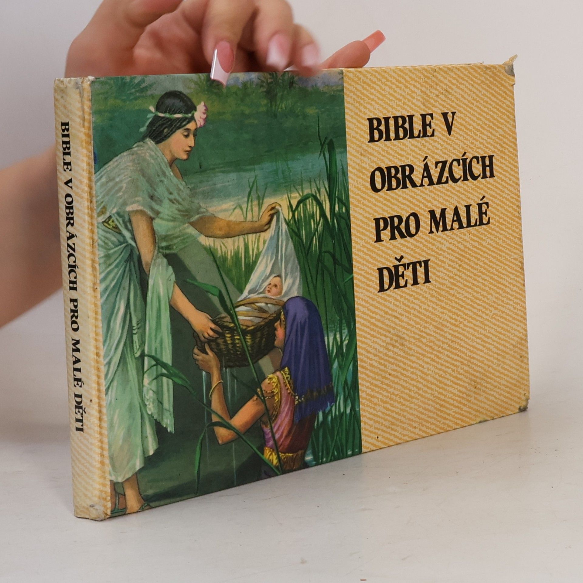 Kenneth Taylor Bible v obrázcích pro malé děti