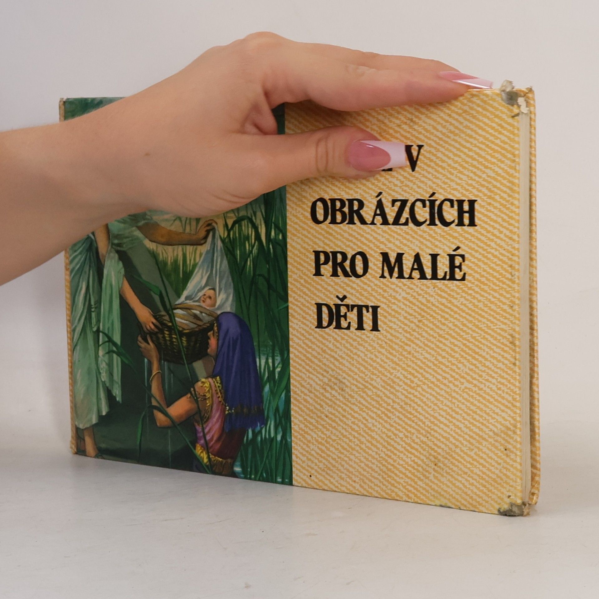 Kenneth Taylor Bible v obrázcích pro malé děti