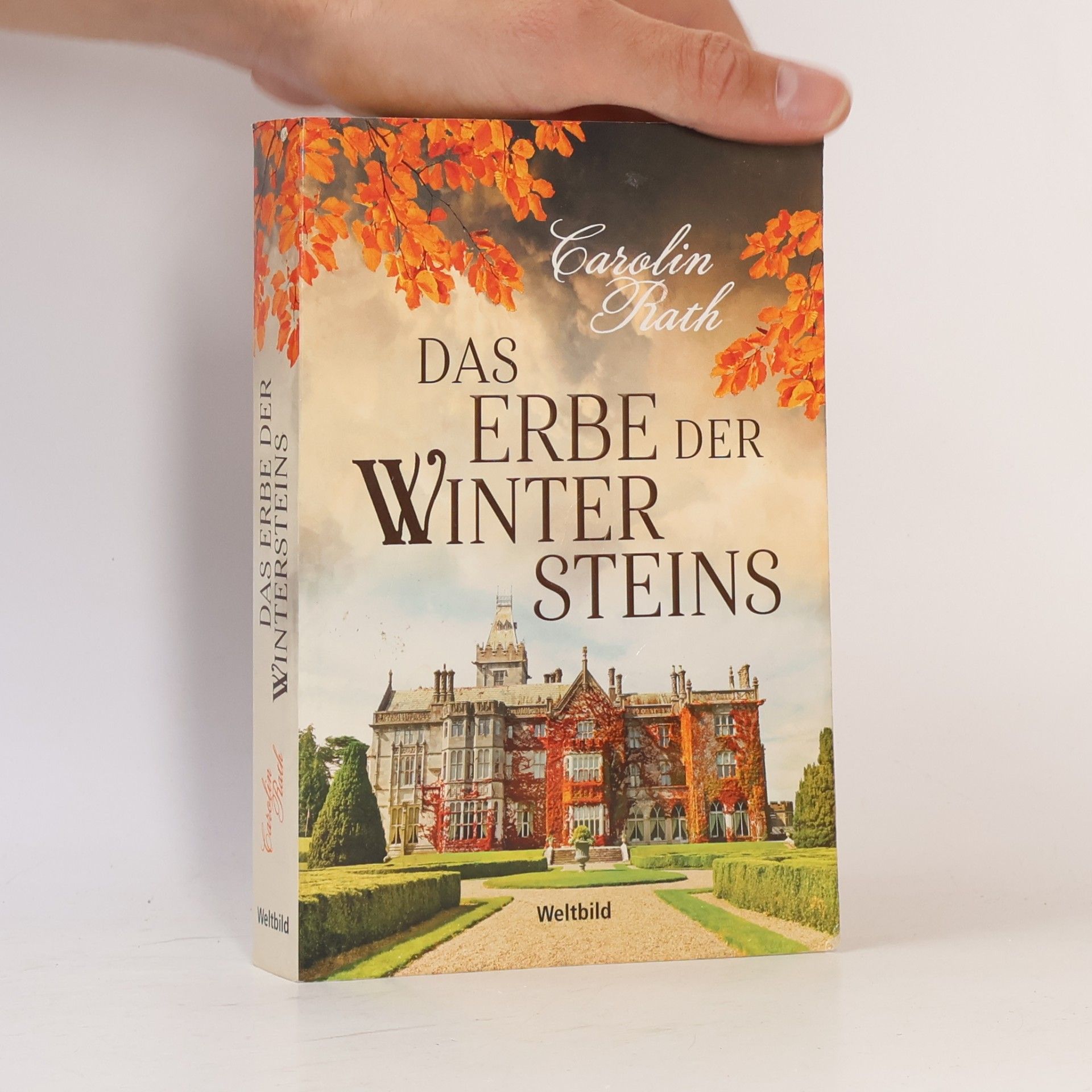 Carolin Rath Das Erbe der Wintersteins