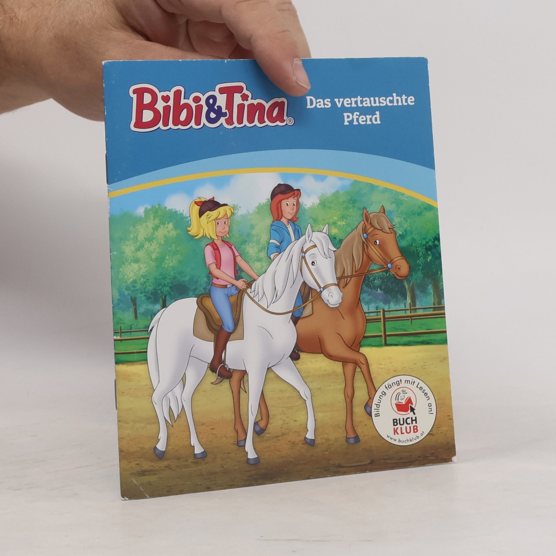 kolektiv Bibi & Tina Das vertauschte Pferd