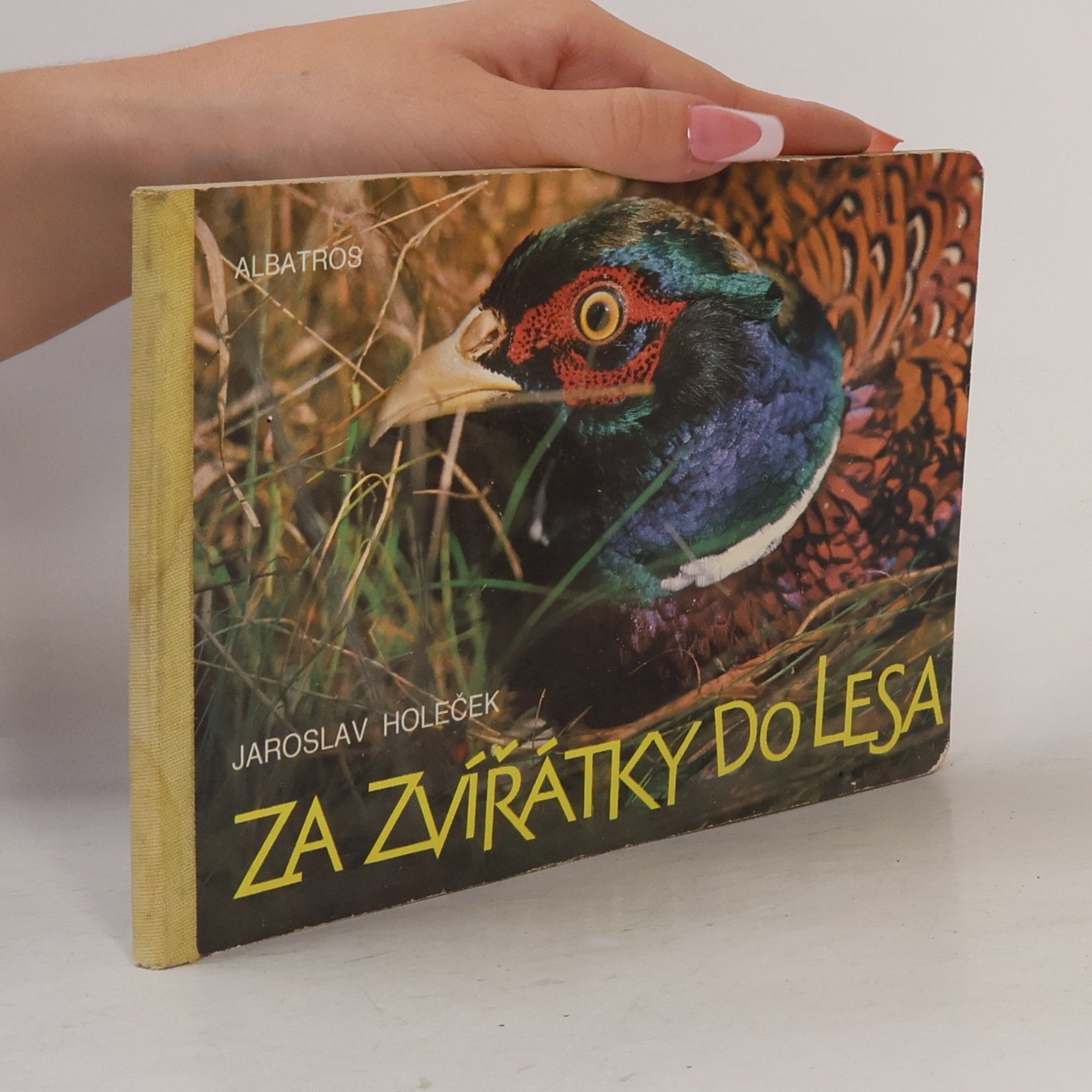 Jaroslav Holeček Za zvířátky do lesa