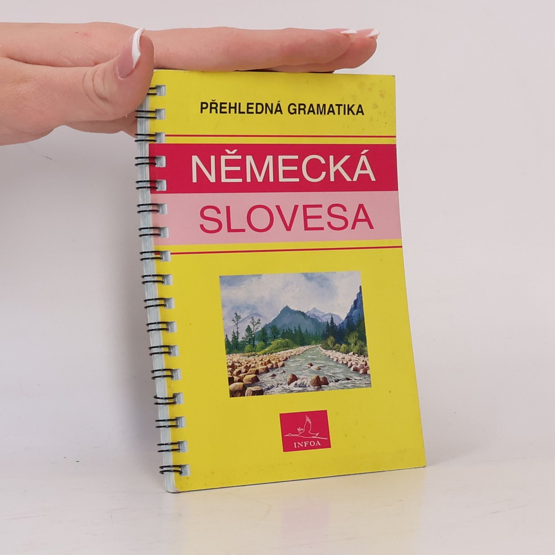 Autorenkollektiv Německá slovesa : přehledná gramatika