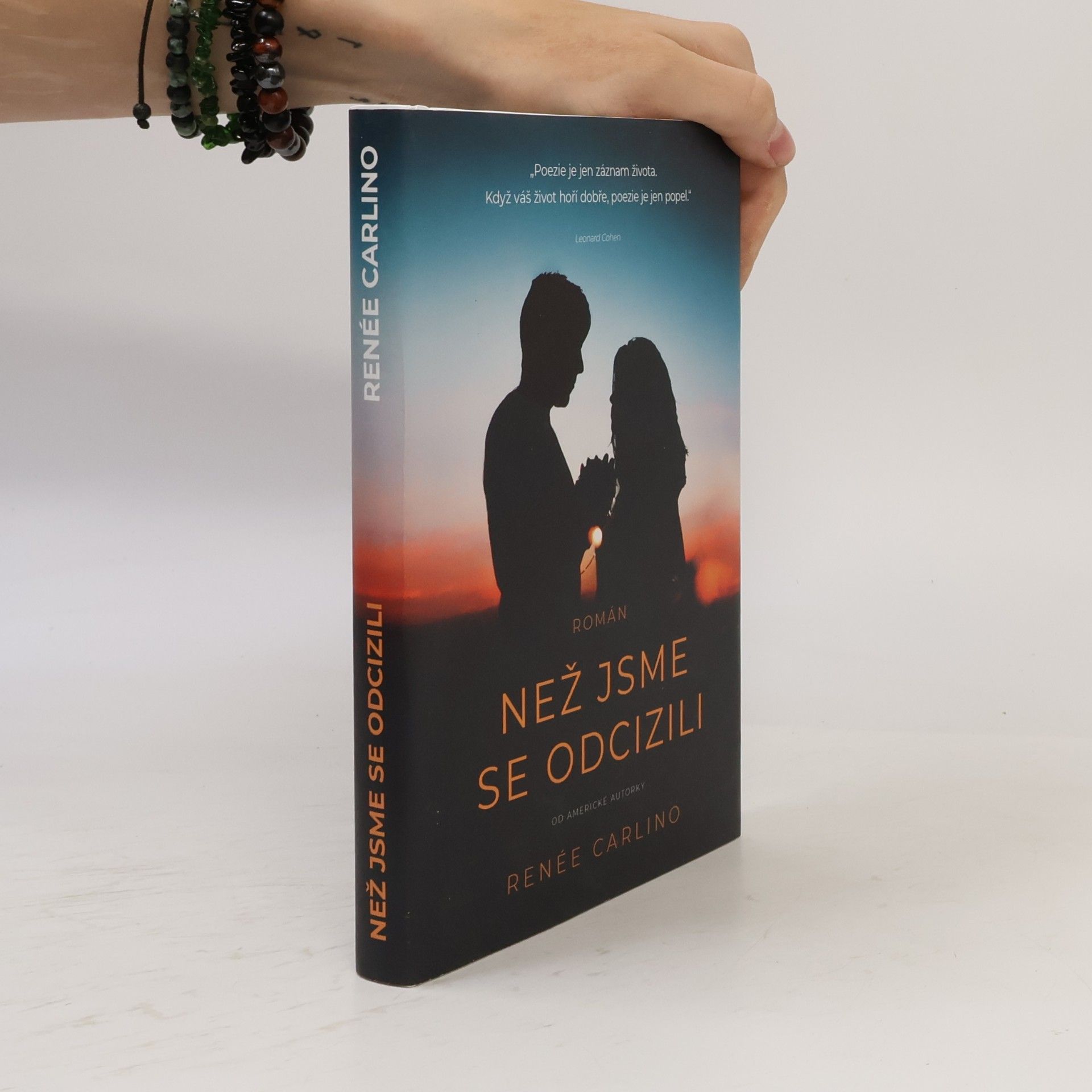 Renée Carlino Než jsme se odcizili